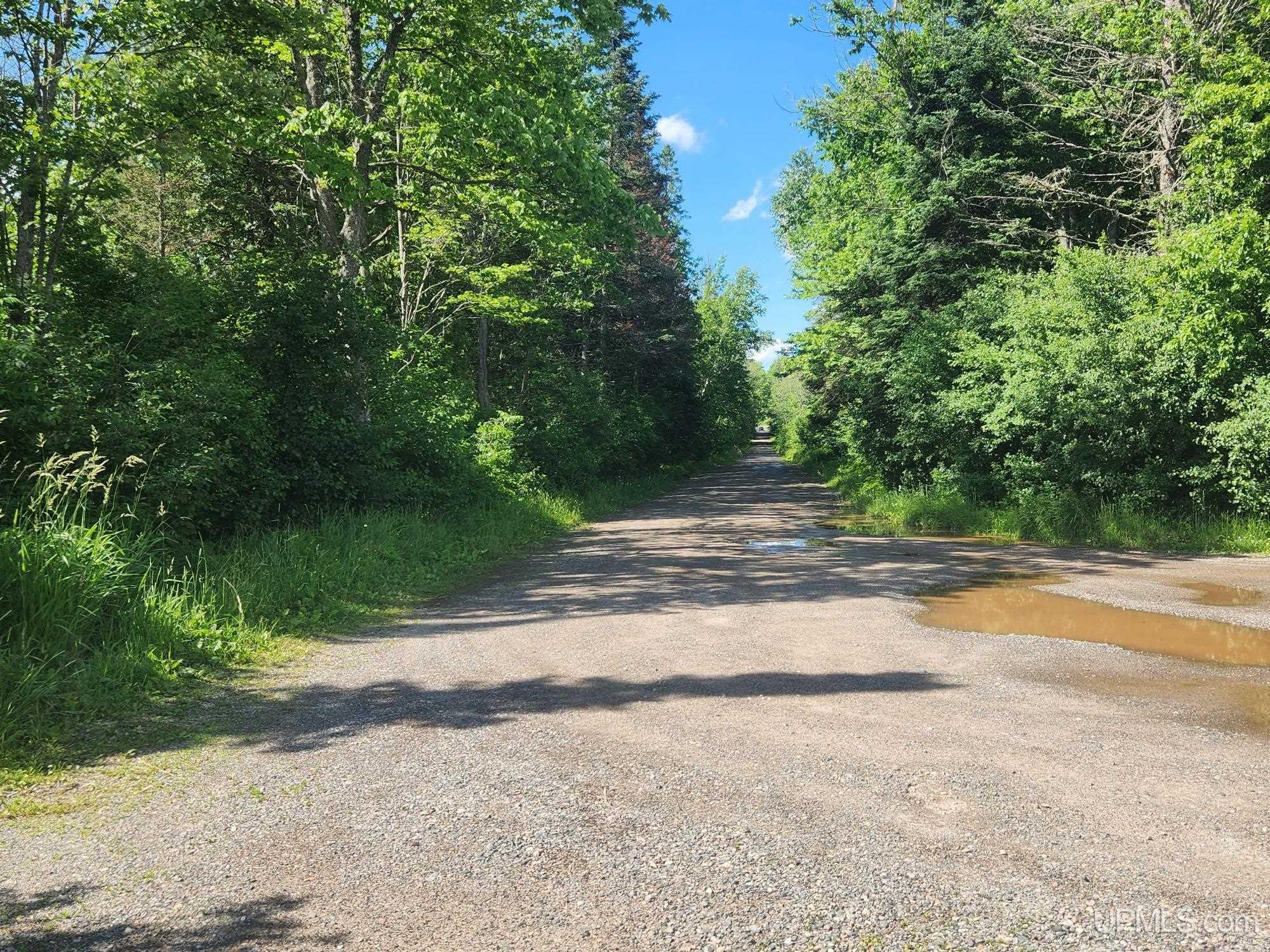 Tbd Wildwood Lake Road Property Photo 4