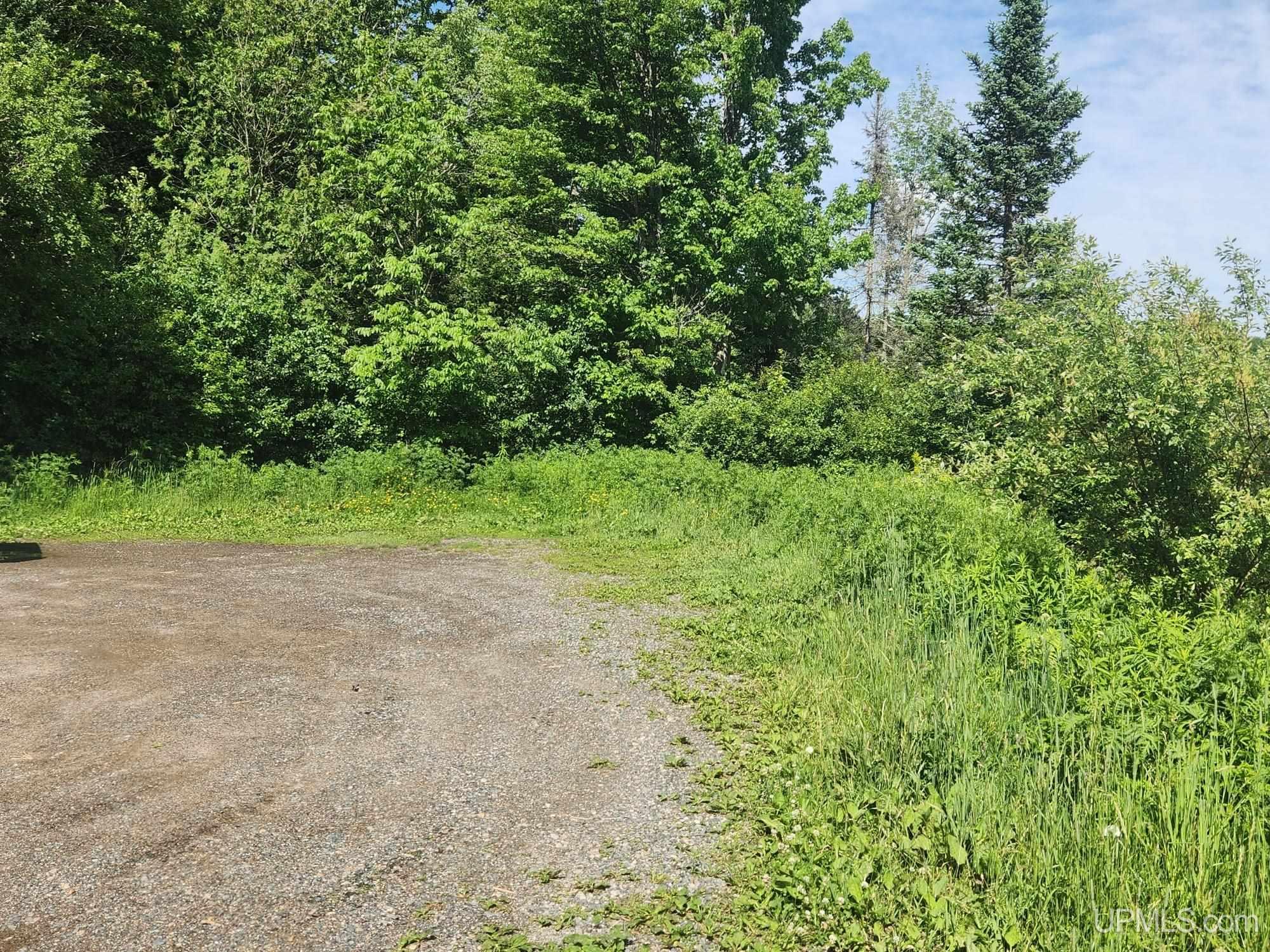 Tbd Wildwood Lake Road Property Photo 5