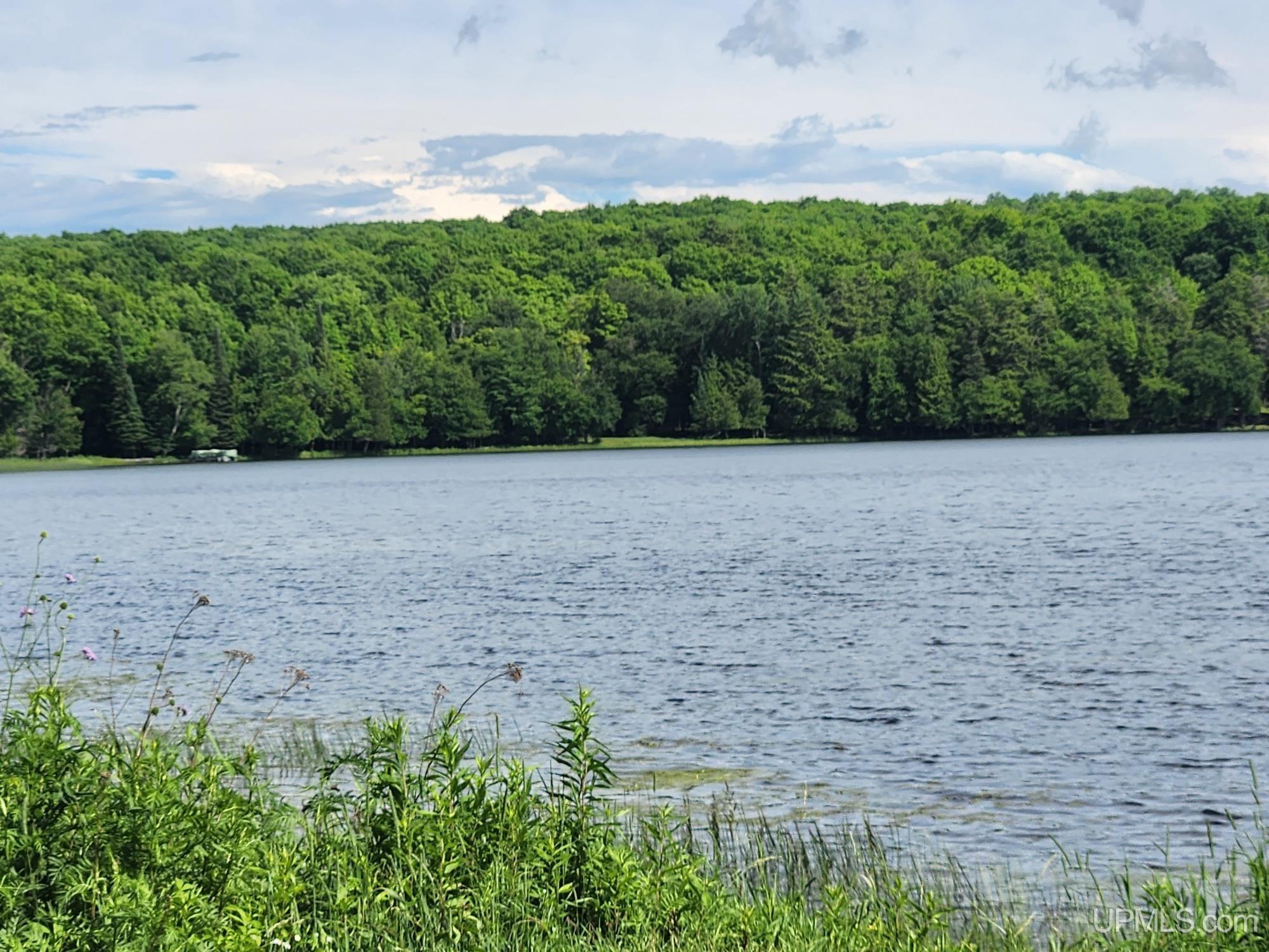 Tbd Wildwood Lake Road Property Photo 7