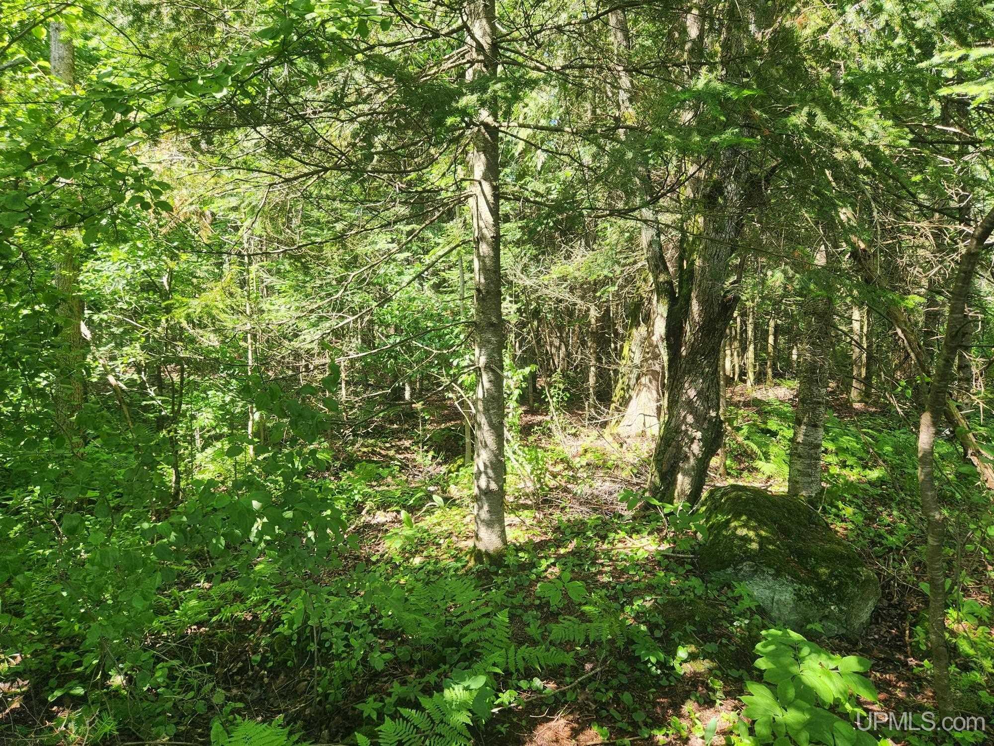 Tbd Wildwood Lake Road Property Photo 11