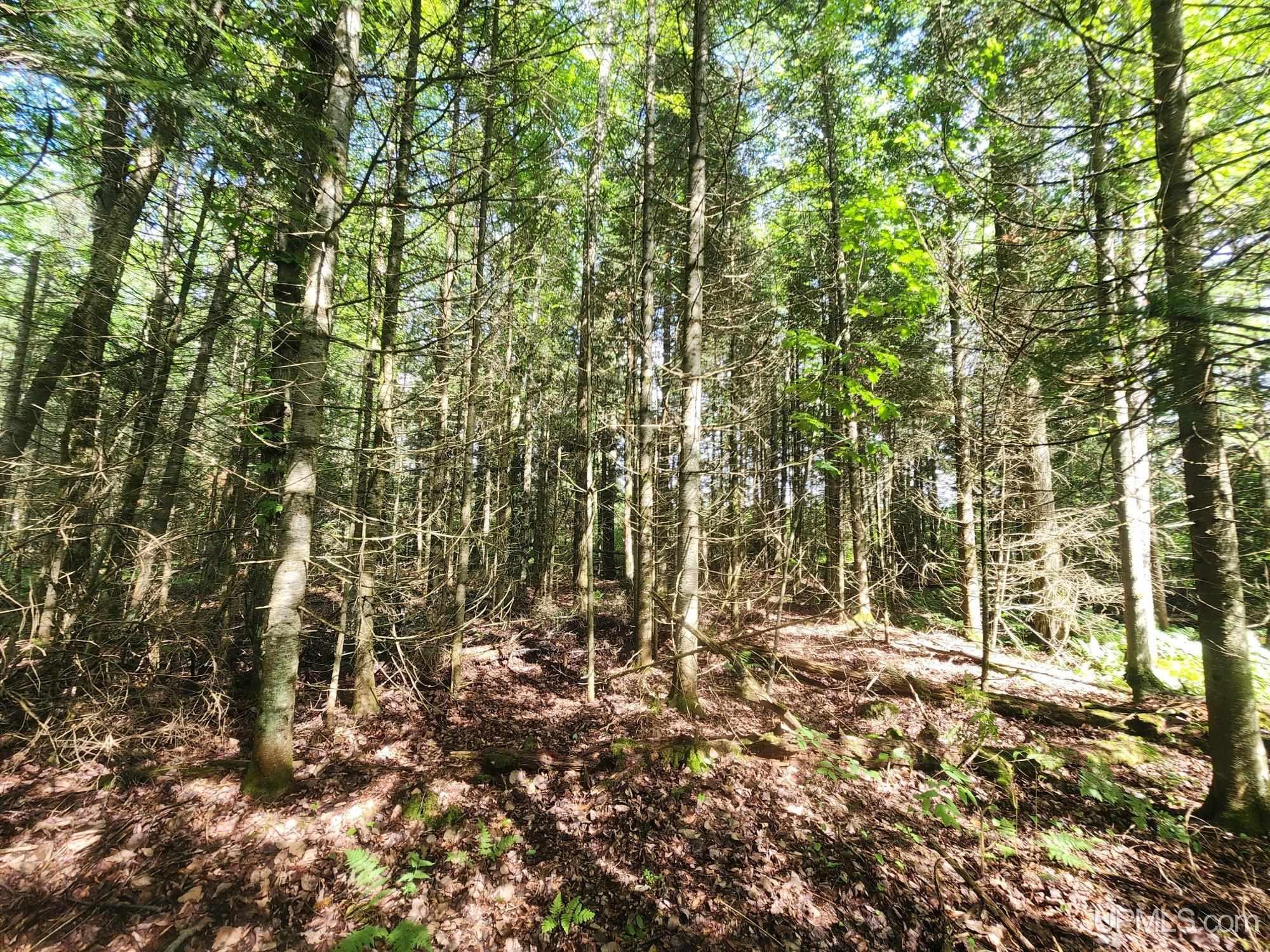 Tbd Wildwood Lake Road Property Photo 20