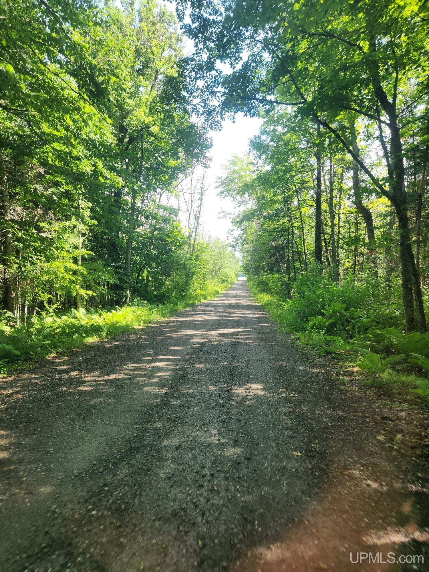 Tbd Wildwood Lake Road Property Photo 24