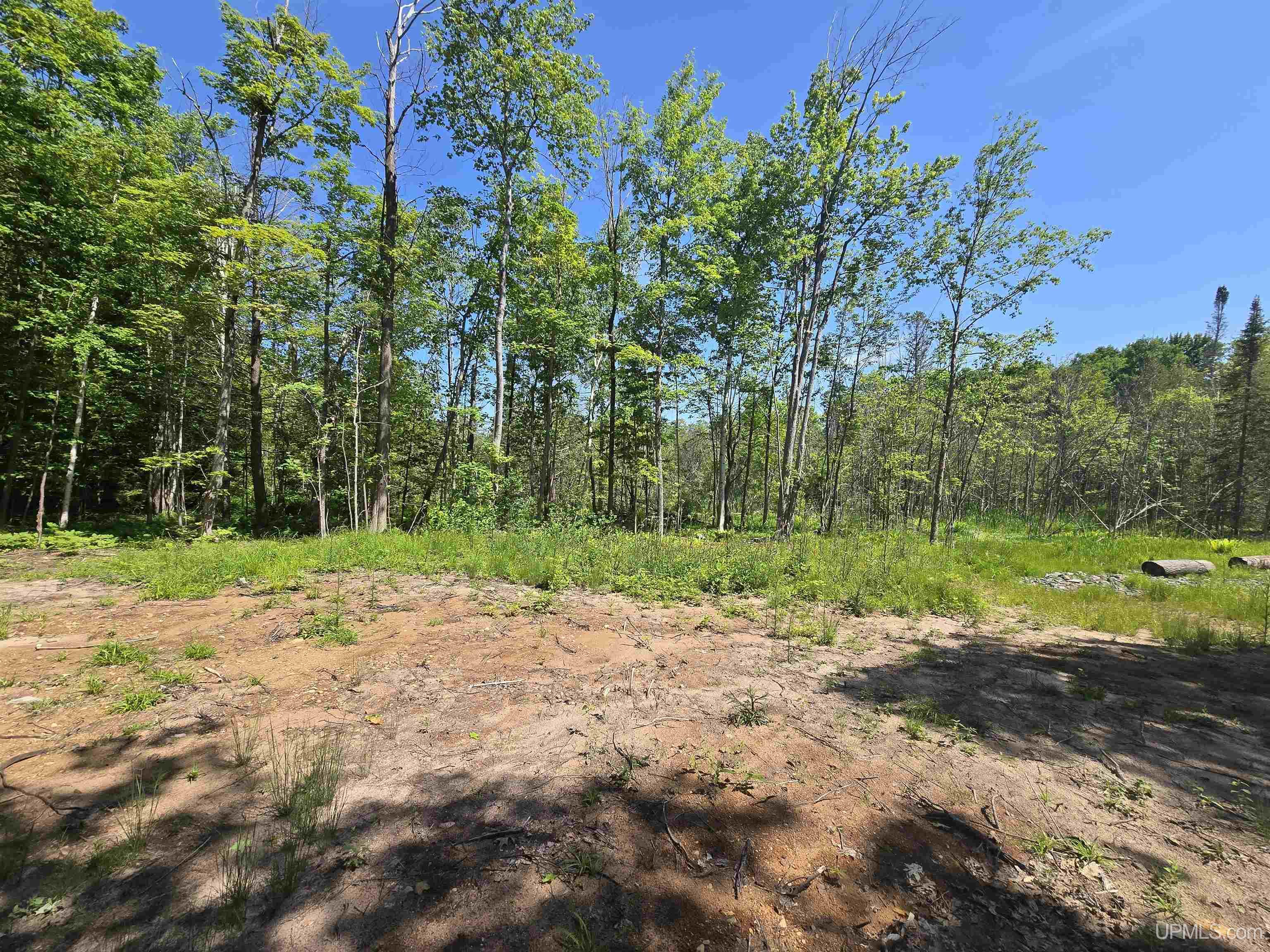 1504 Sugar Maple Lane Property Photo 6