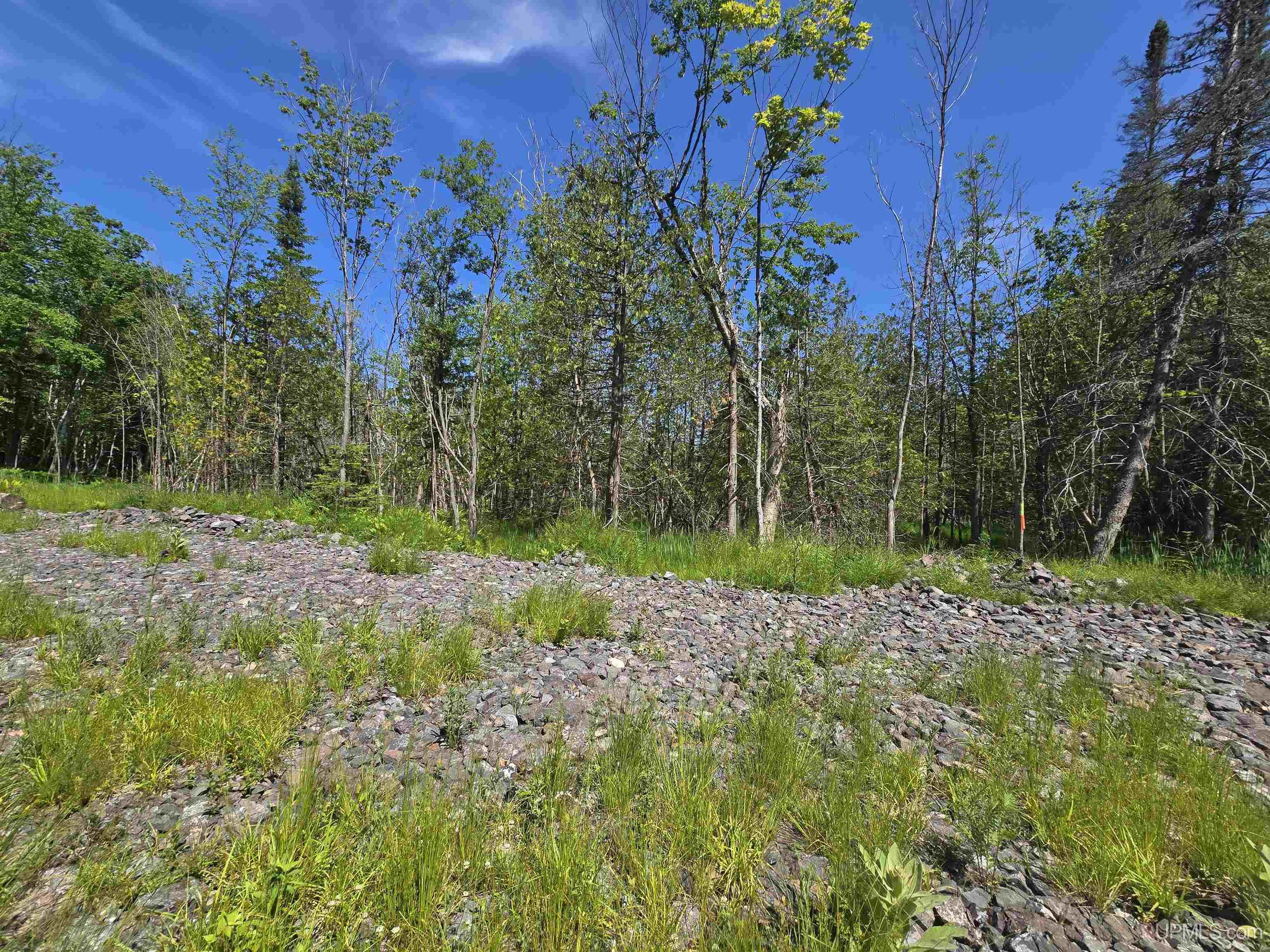 1504 Sugar Maple Lane Property Photo 7