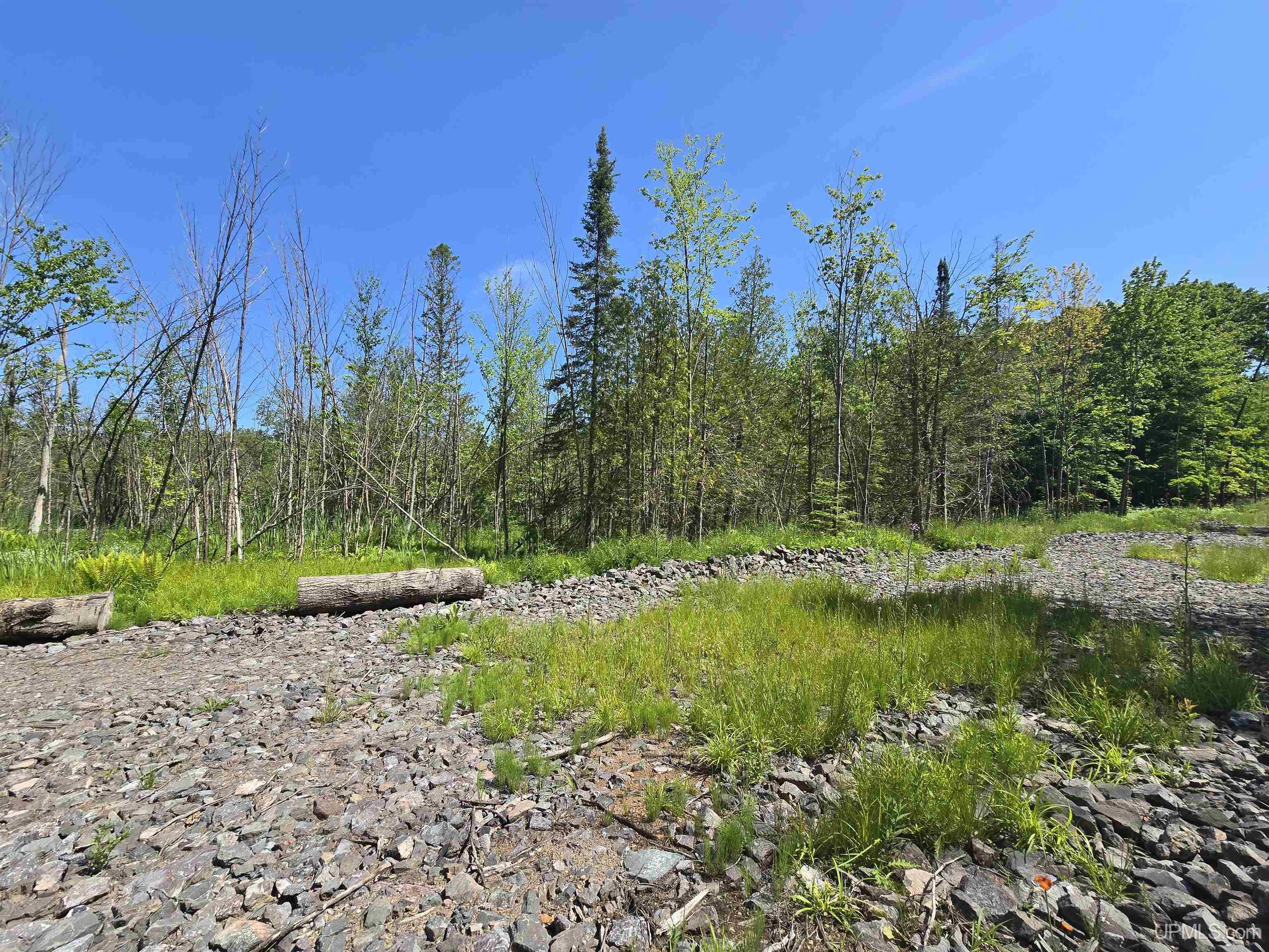 1504 Sugar Maple Lane Property Photo 8