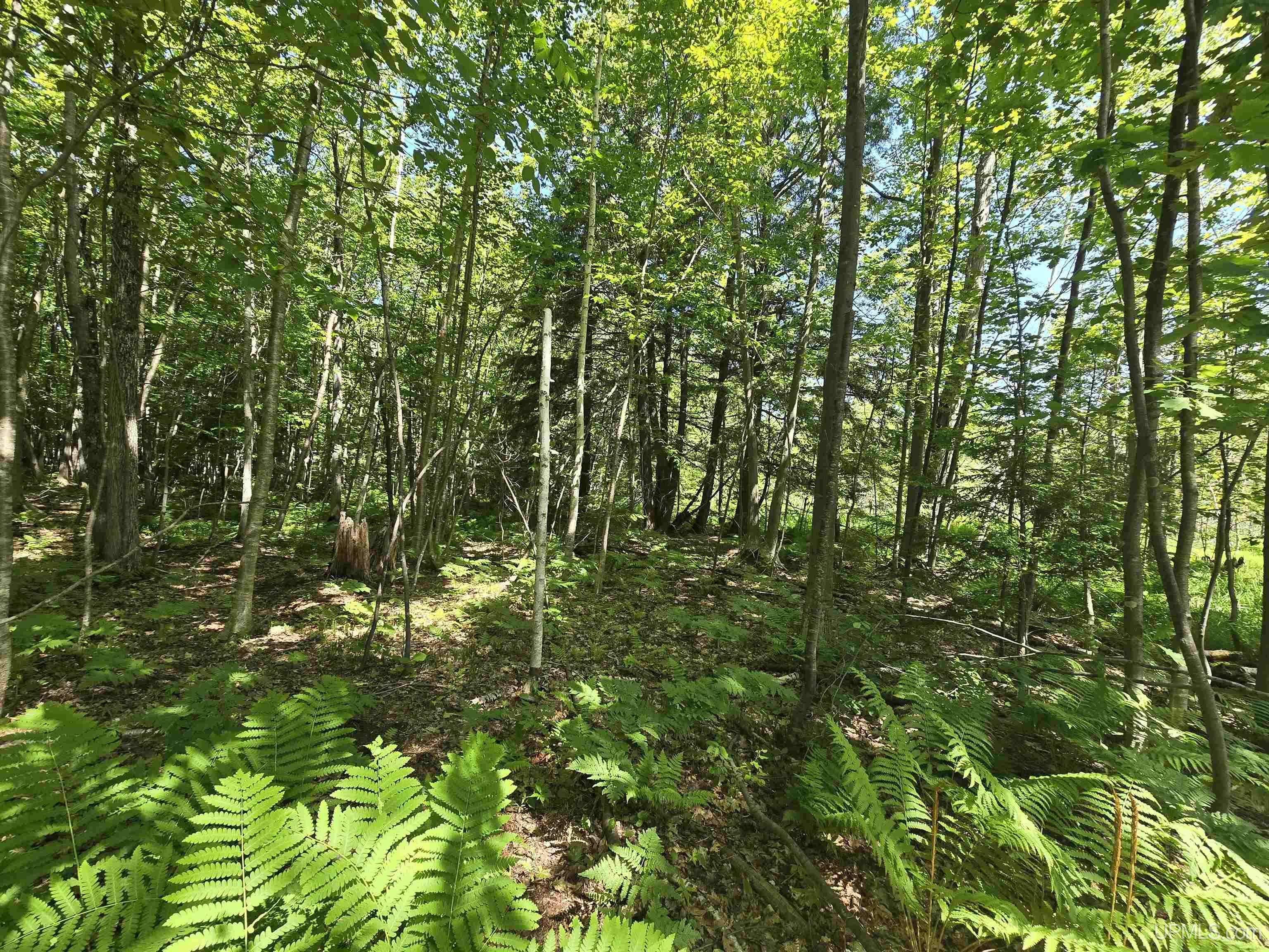 1504 Sugar Maple Lane Property Photo 11