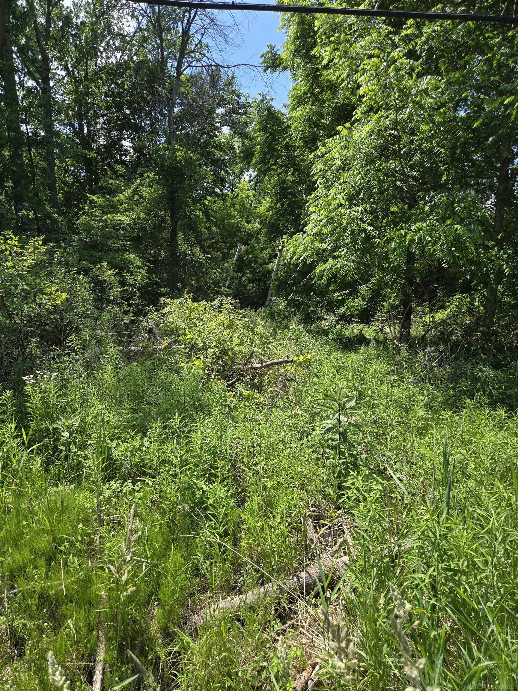 Tbd Lakeshore Road Property Photo 12