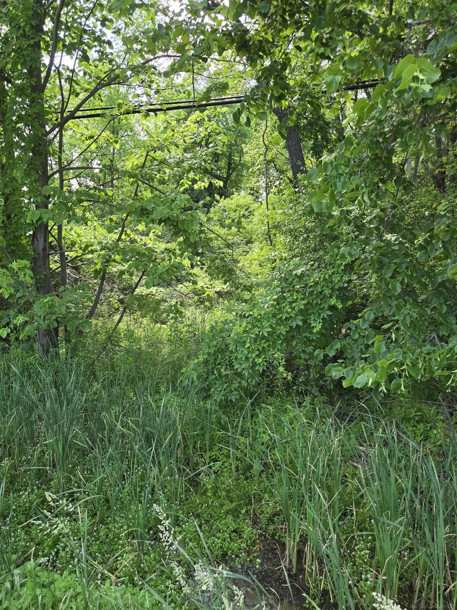 Tbd Lakeshore Road Property Photo 13