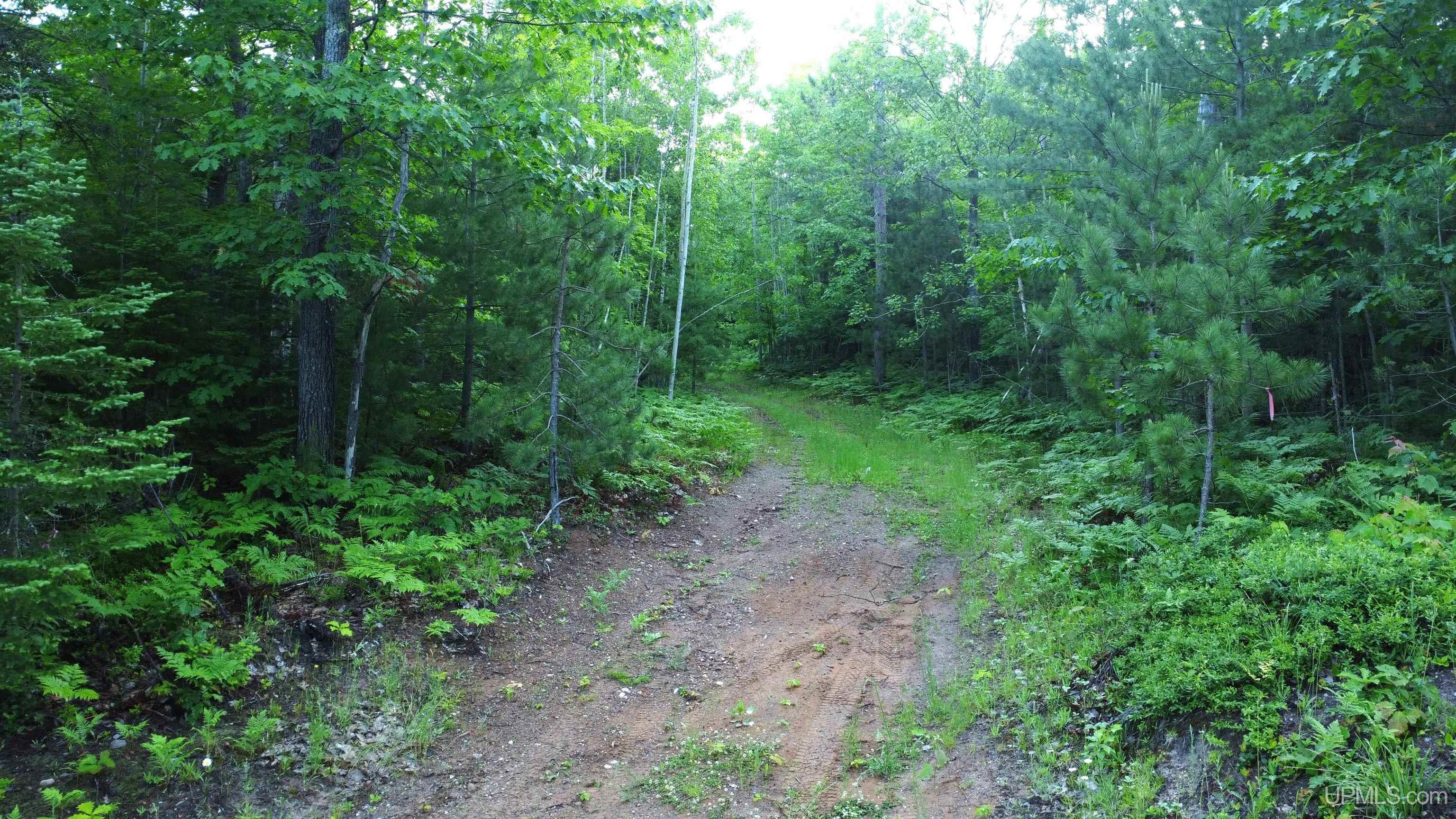 Off Brown Deer Road Property Photo 1