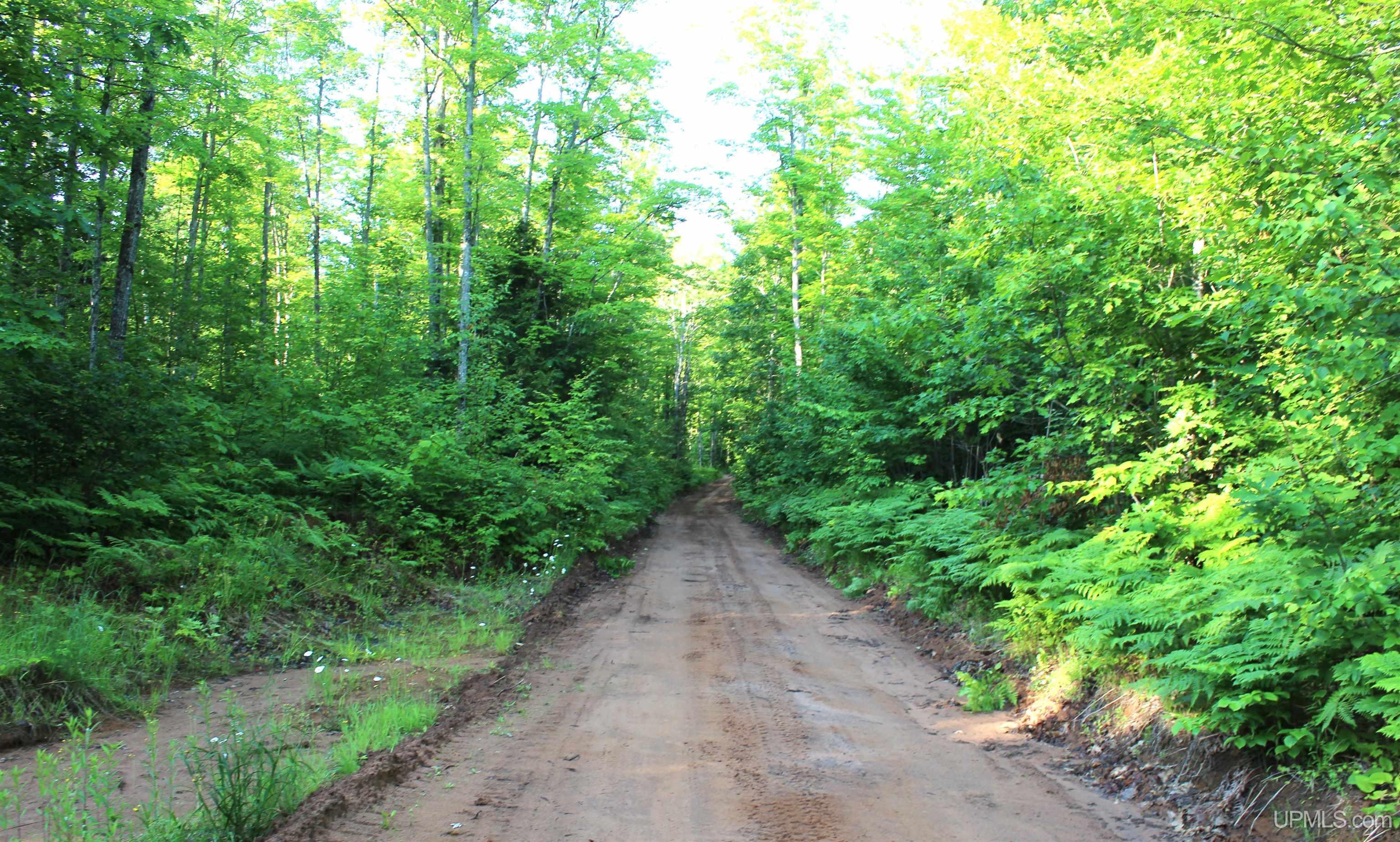 On Alder Cr Road Property Photo 3