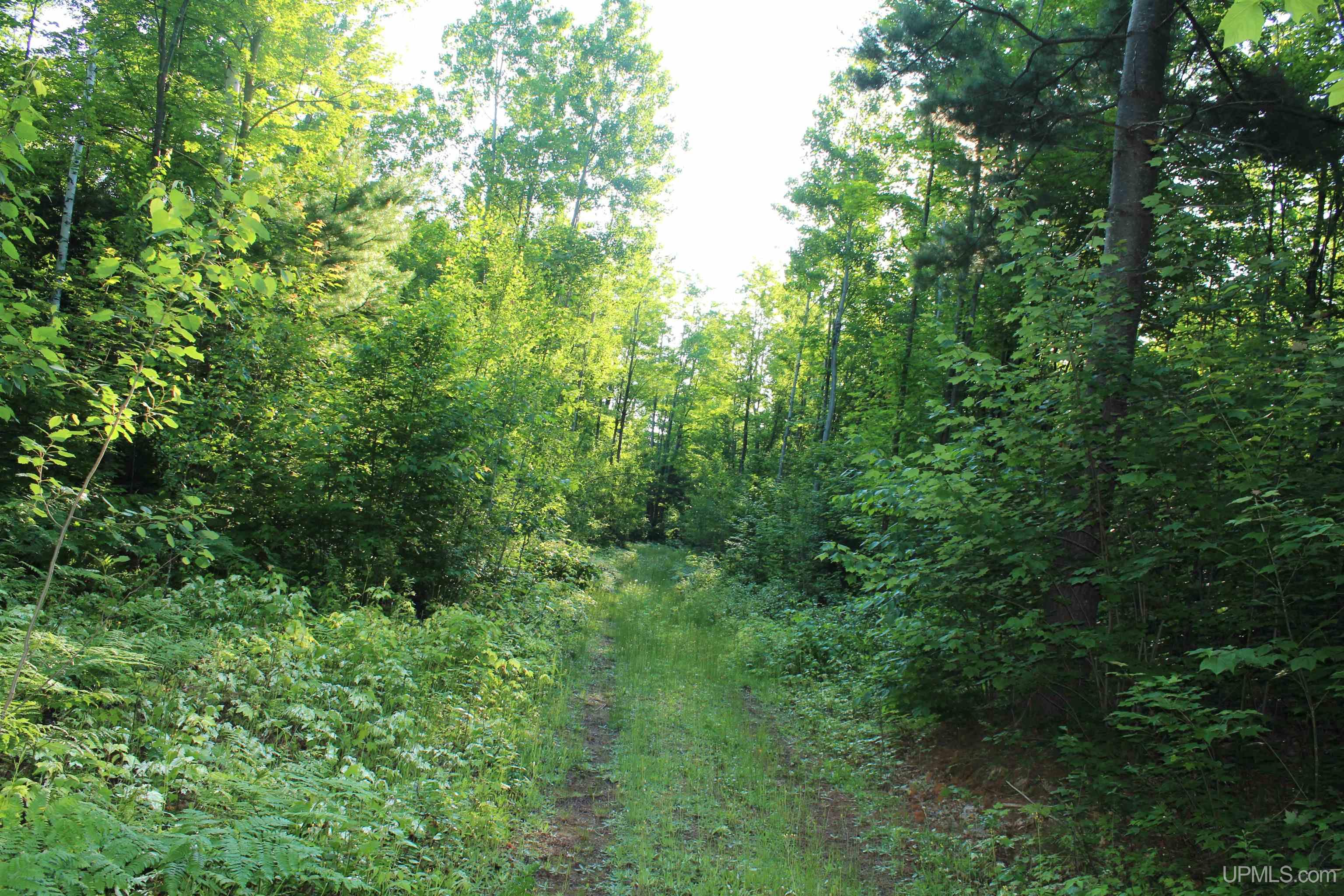 On Alder Cr Road Property Photo 4