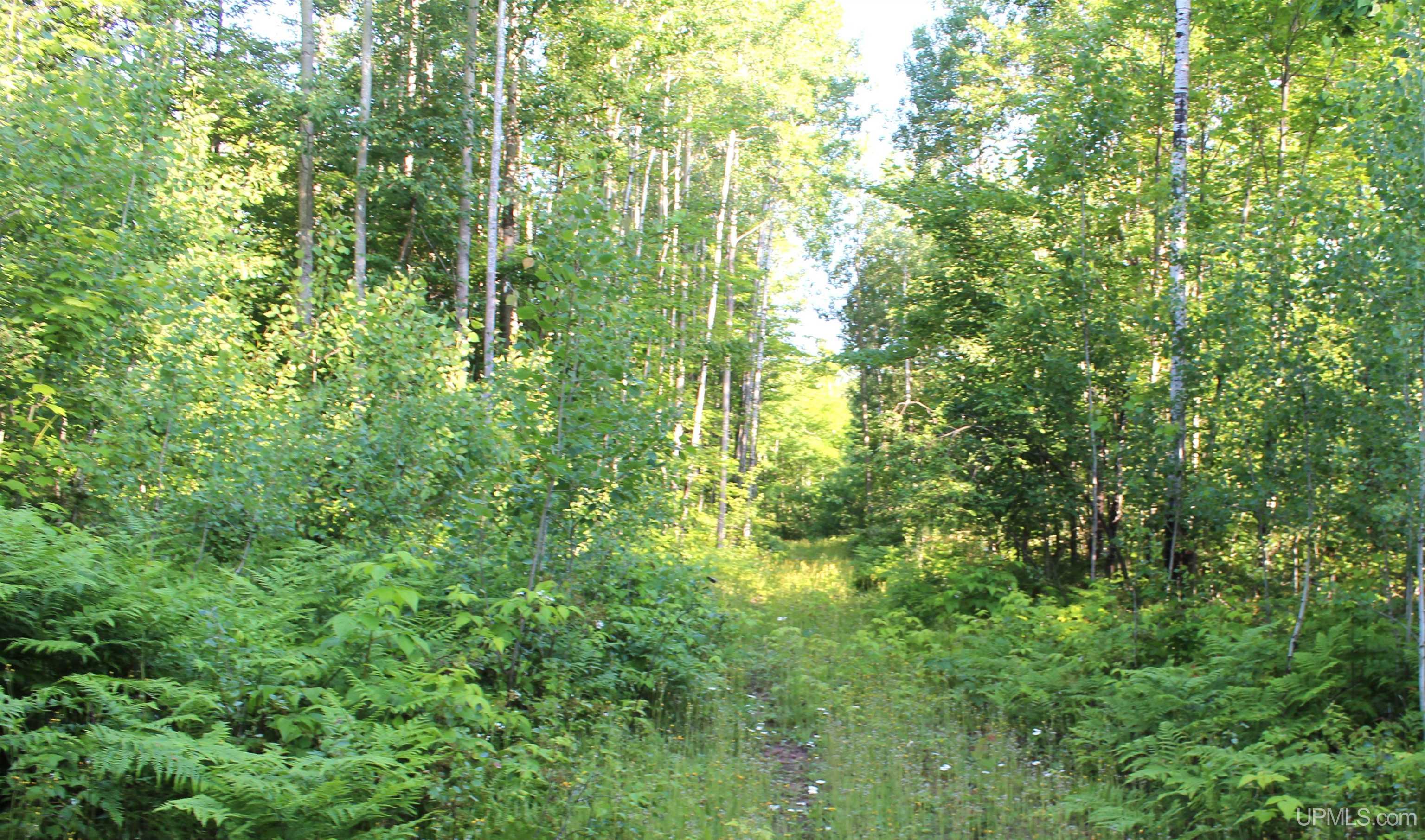 On Alder Cr Road Property Photo 5