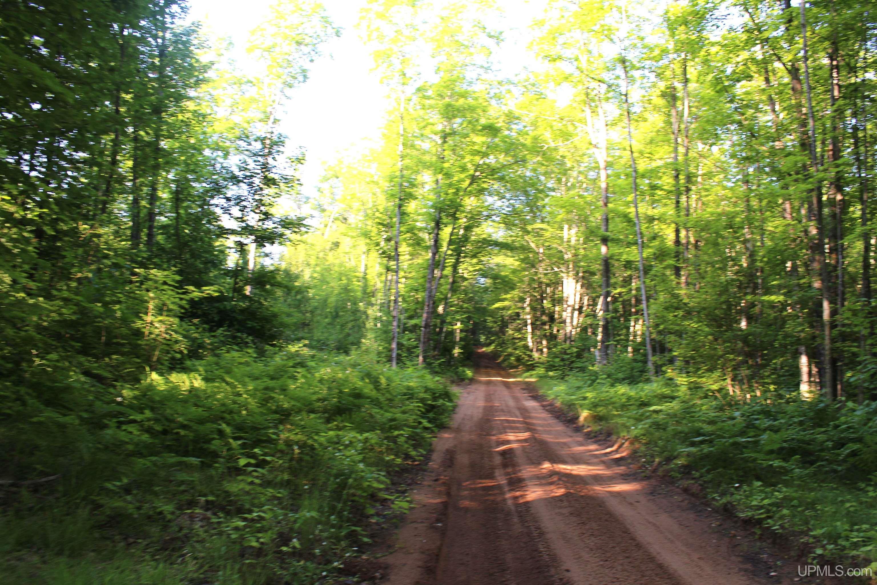 On Alder Cr Road Property Photo 6