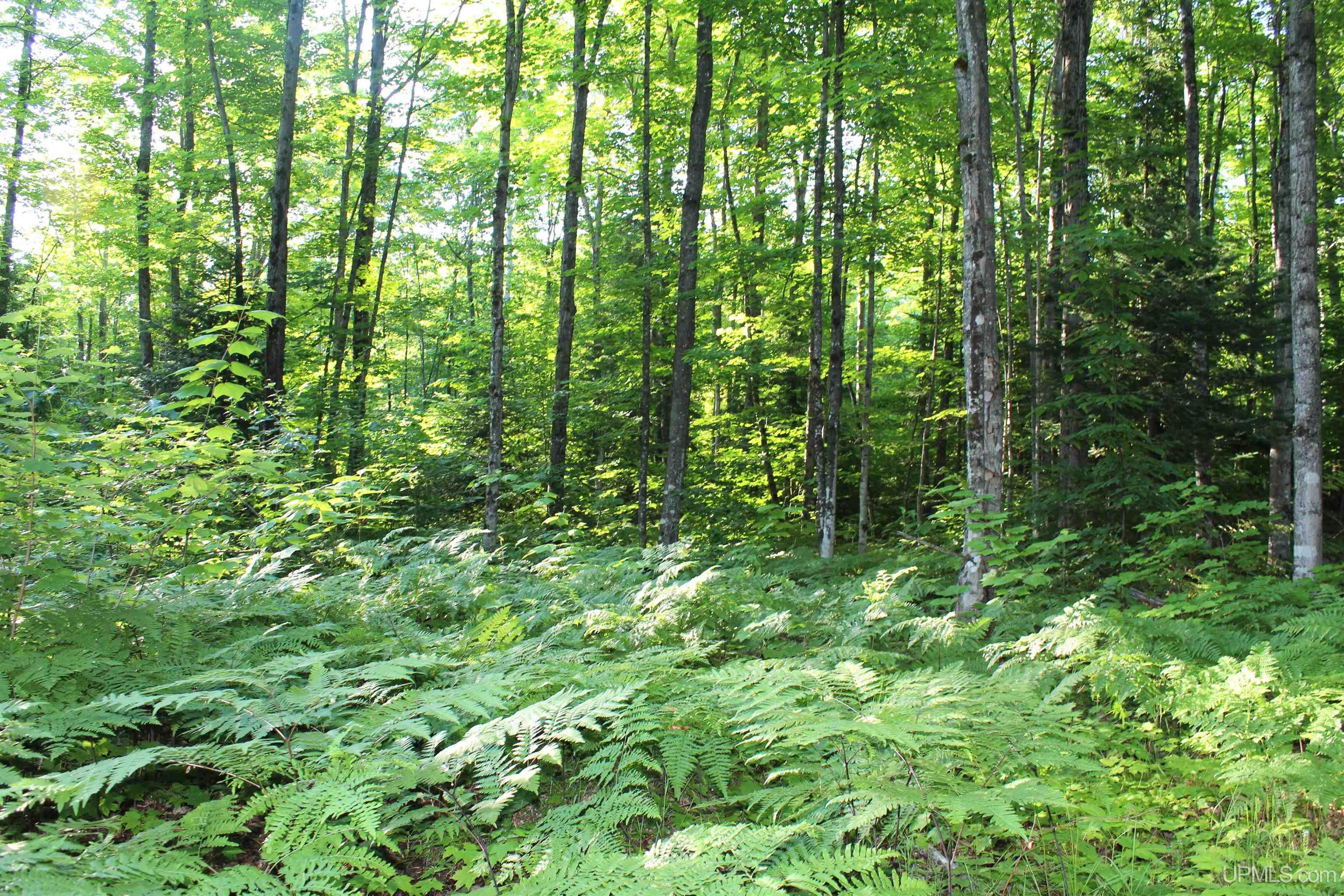 On Alder Cr Road Property Photo 8