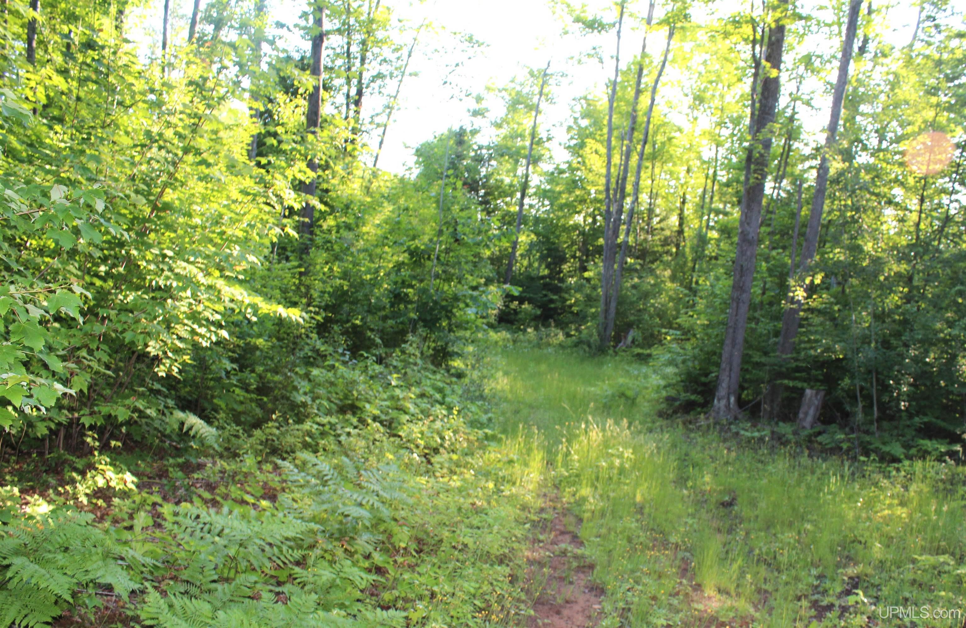 On Alder Cr Road Property Photo 10