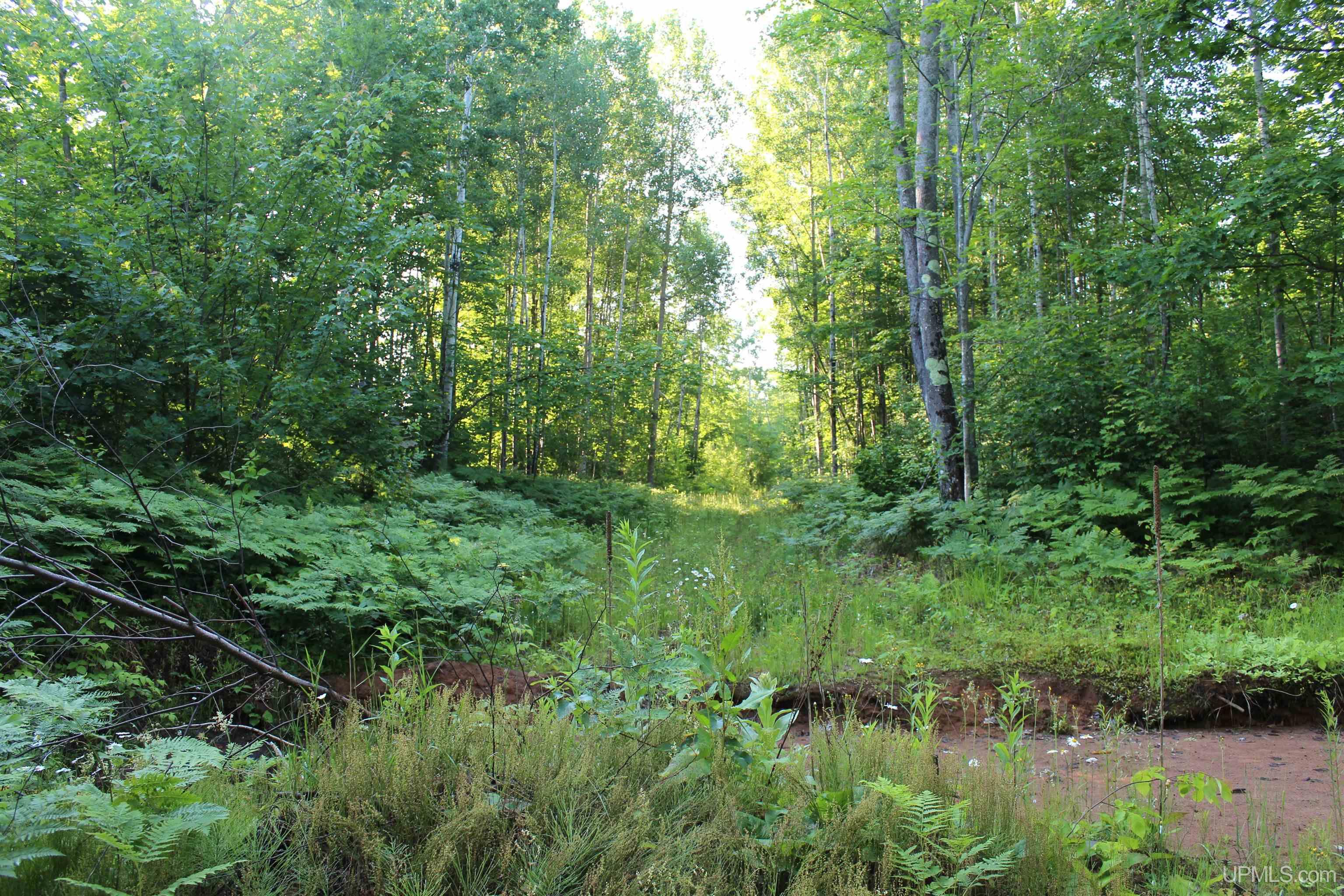 On Alder Cr Road Property Photo 12