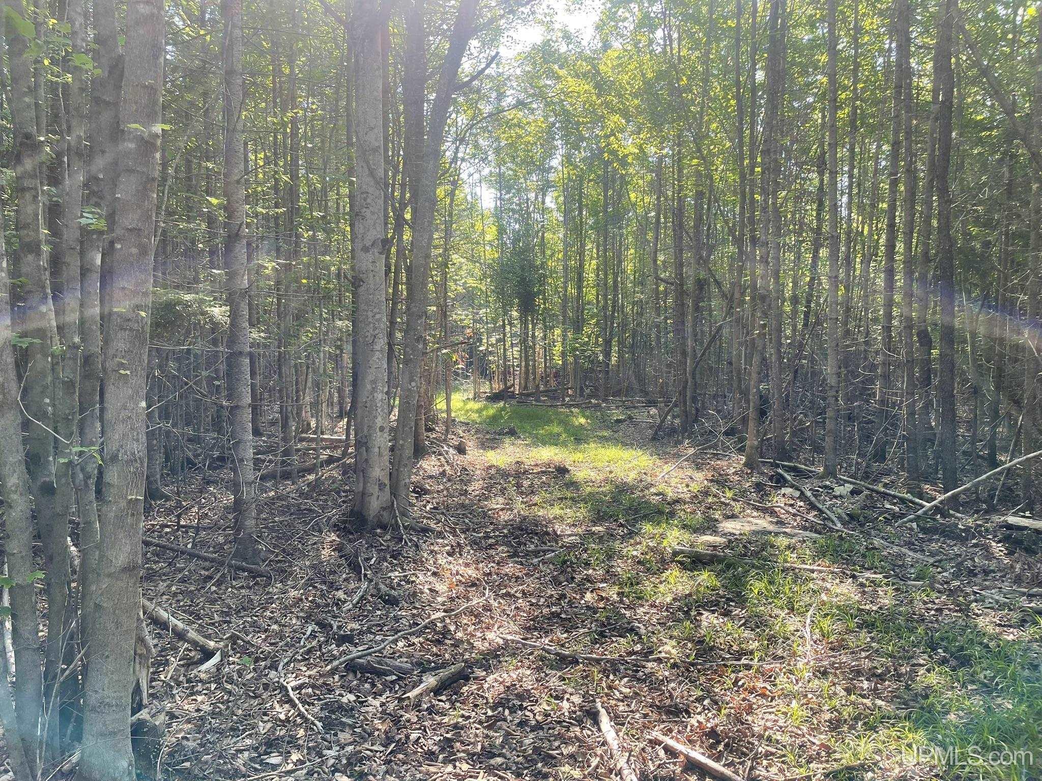 Tbd 17th Rd Road Property Photo 5
