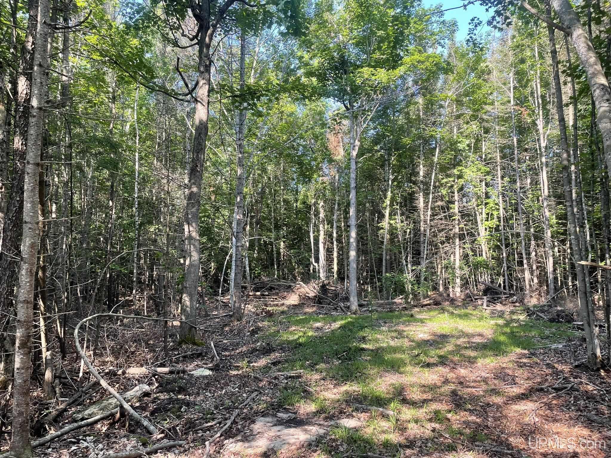 Tbd 17th Rd Road Property Photo 6