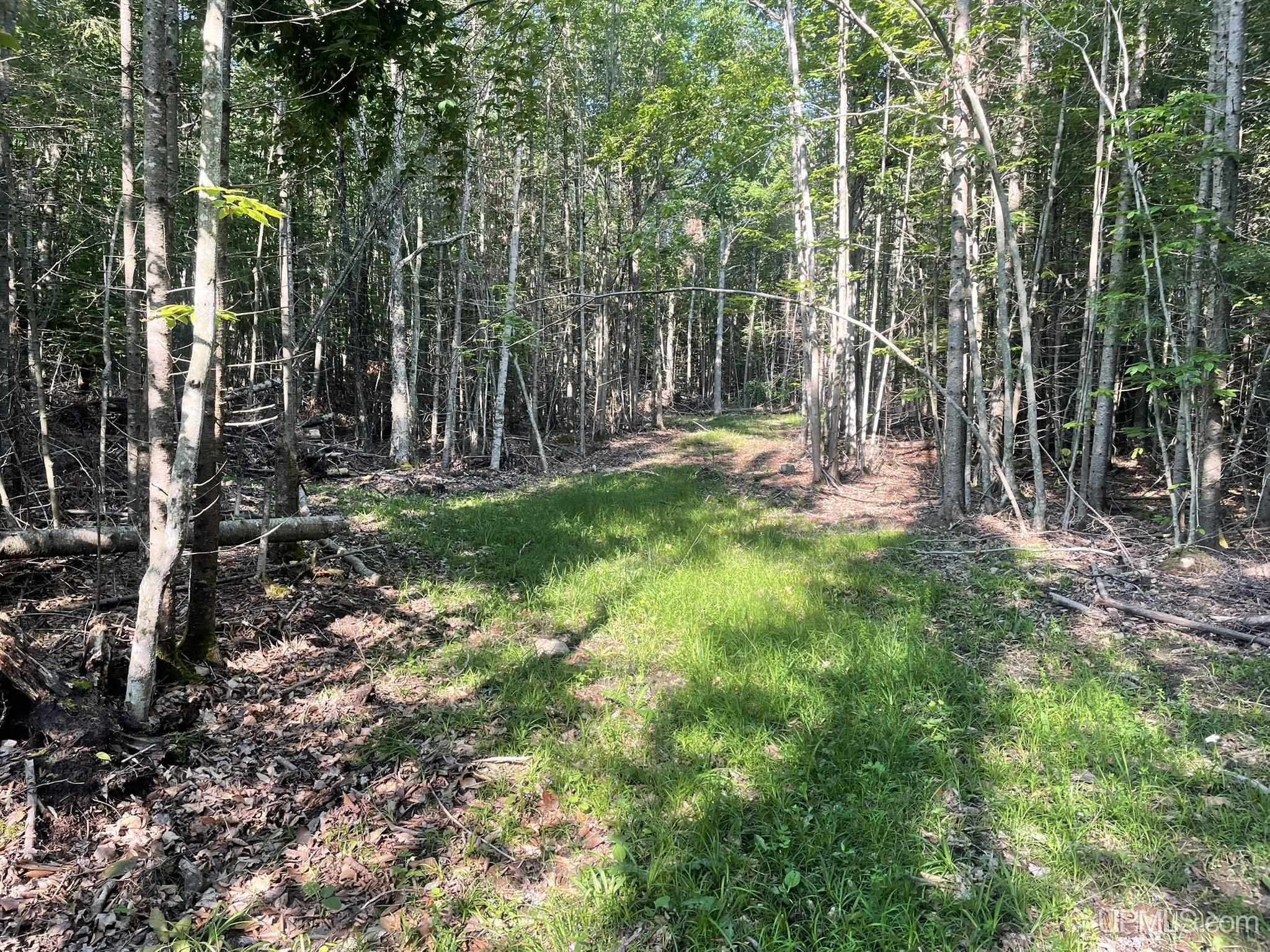 Tbd 17th Rd Road Property Photo 7