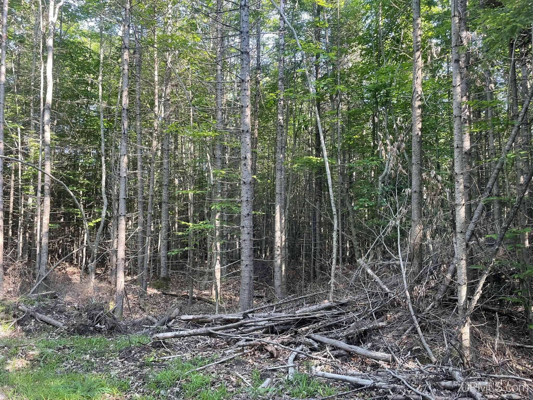 Tbd 17th Rd Road Property Photo 8