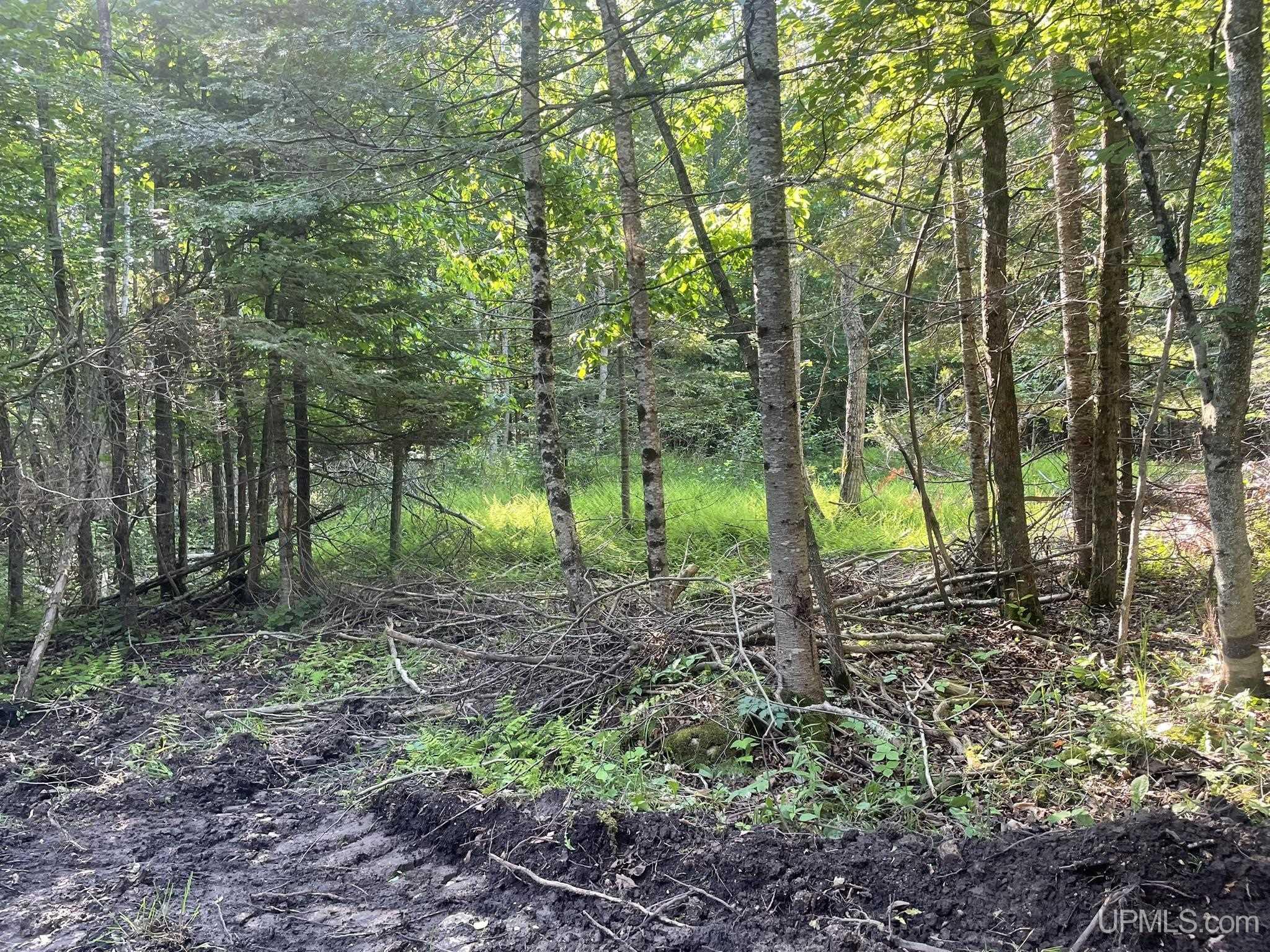 Tbd 17th Rd Road Property Photo 9