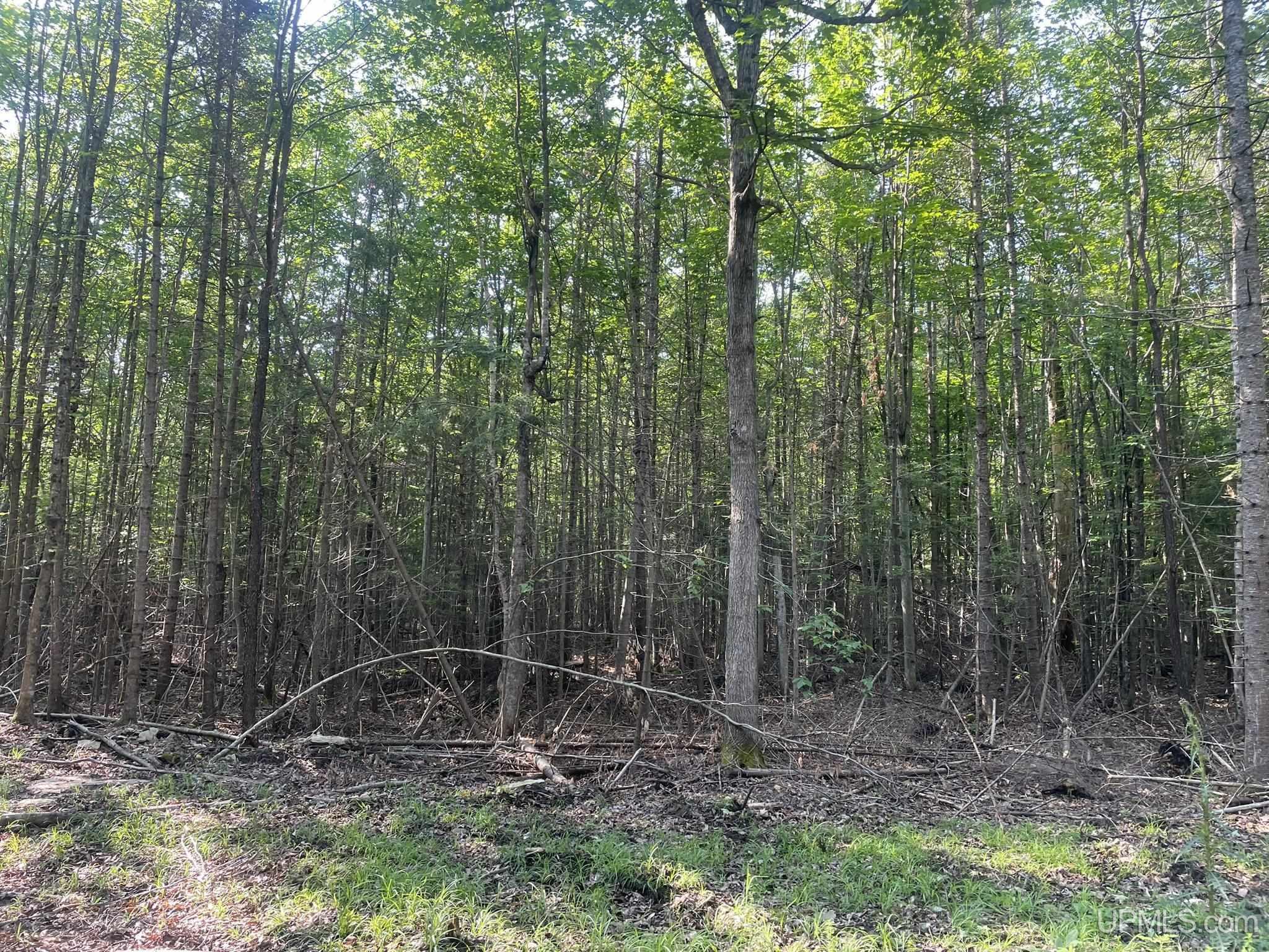 Tbd 17th Rd Road Property Photo 10