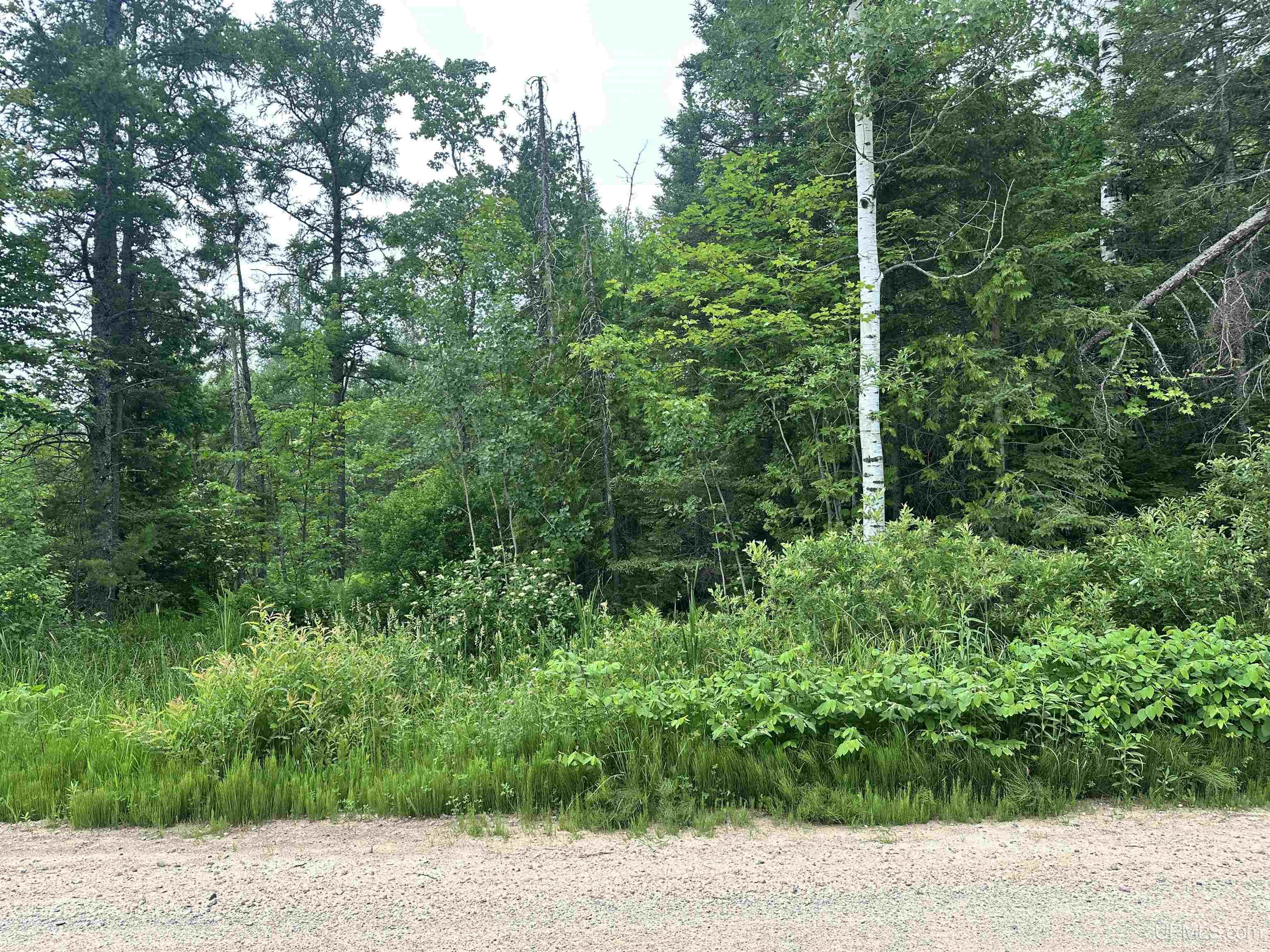 Tbd Deerton Onota Road Property Photo 1