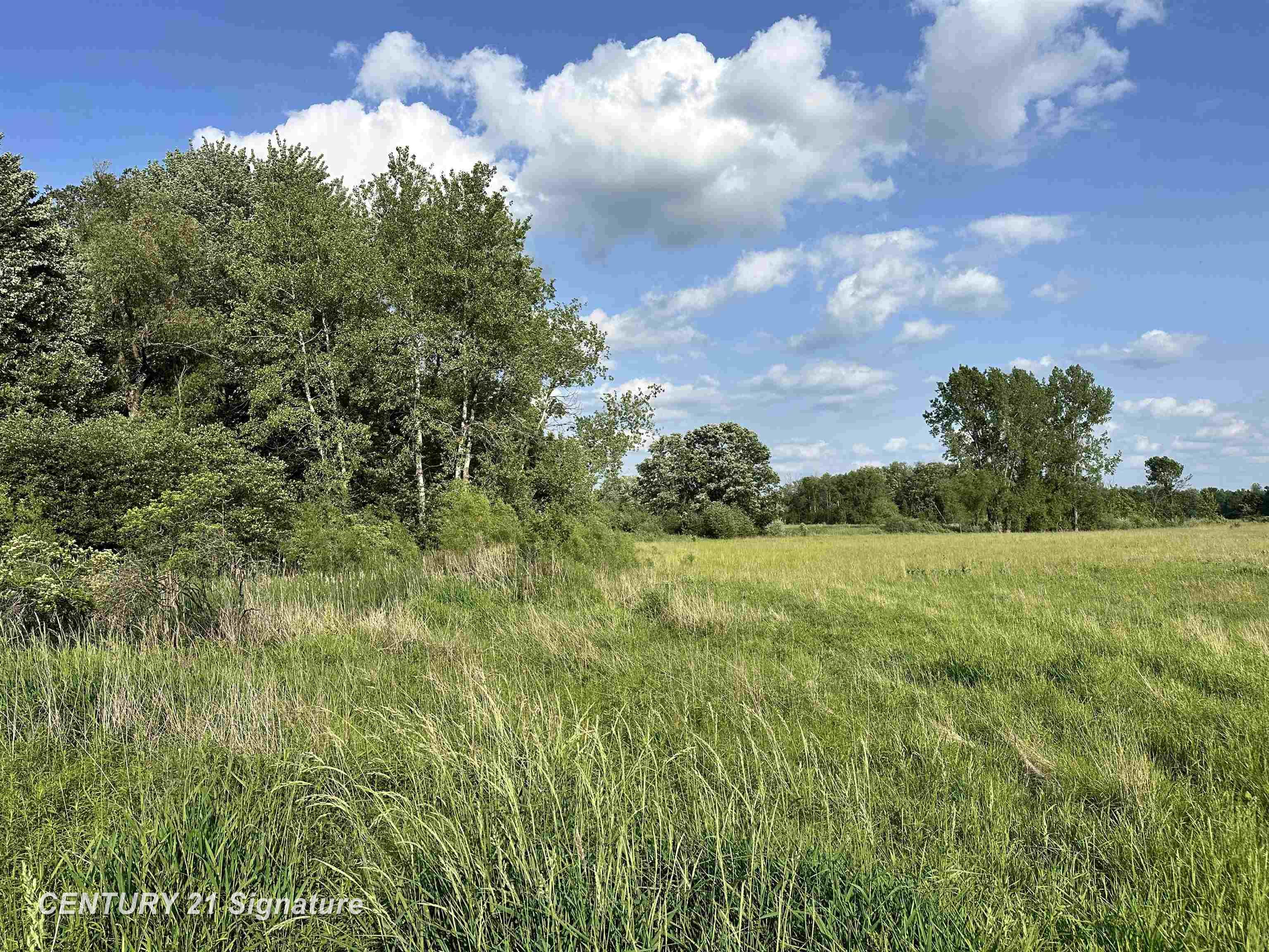 60 Estey Road Property Photo 1