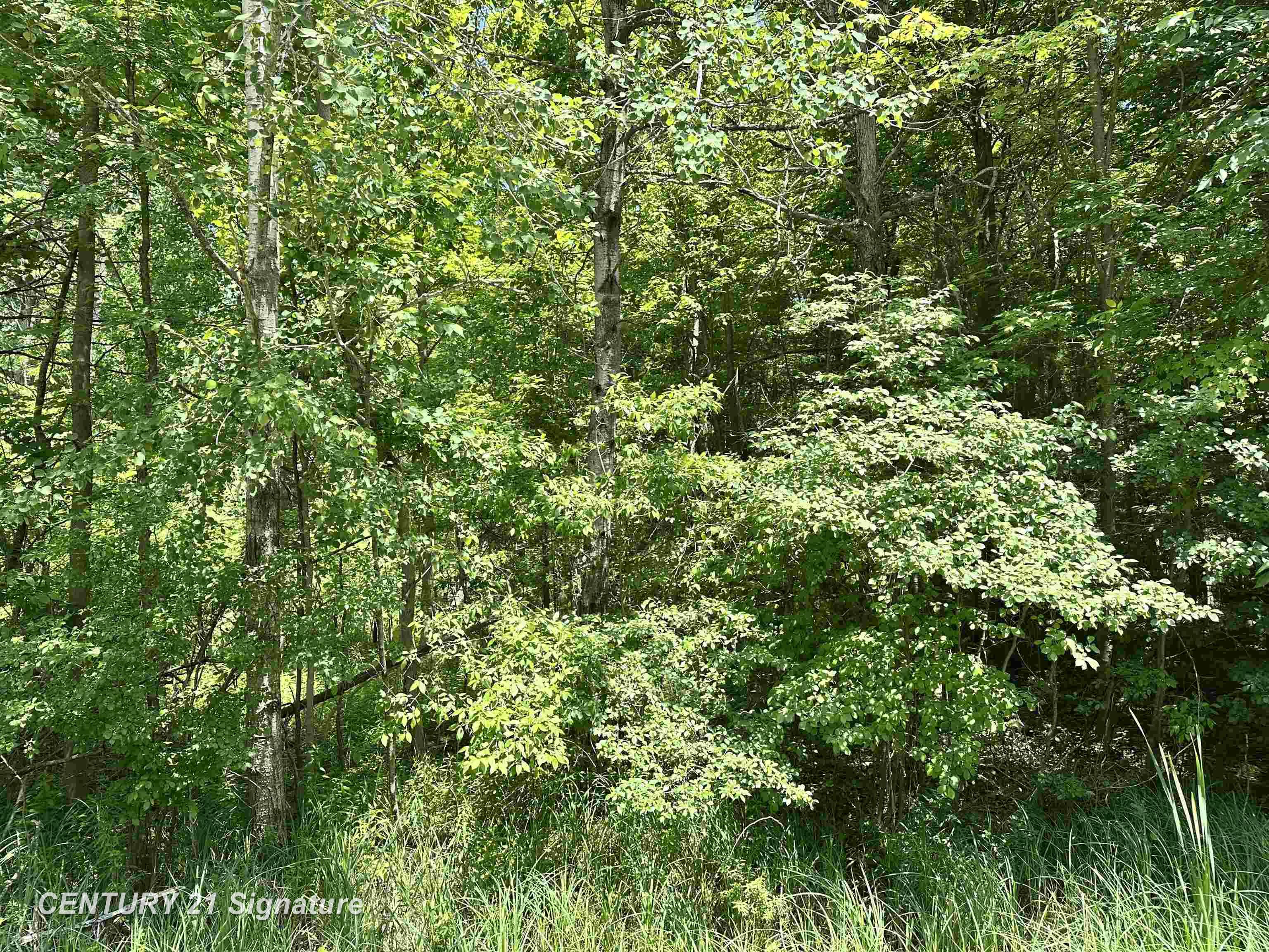 VL Pinconning Road Property Photo 1