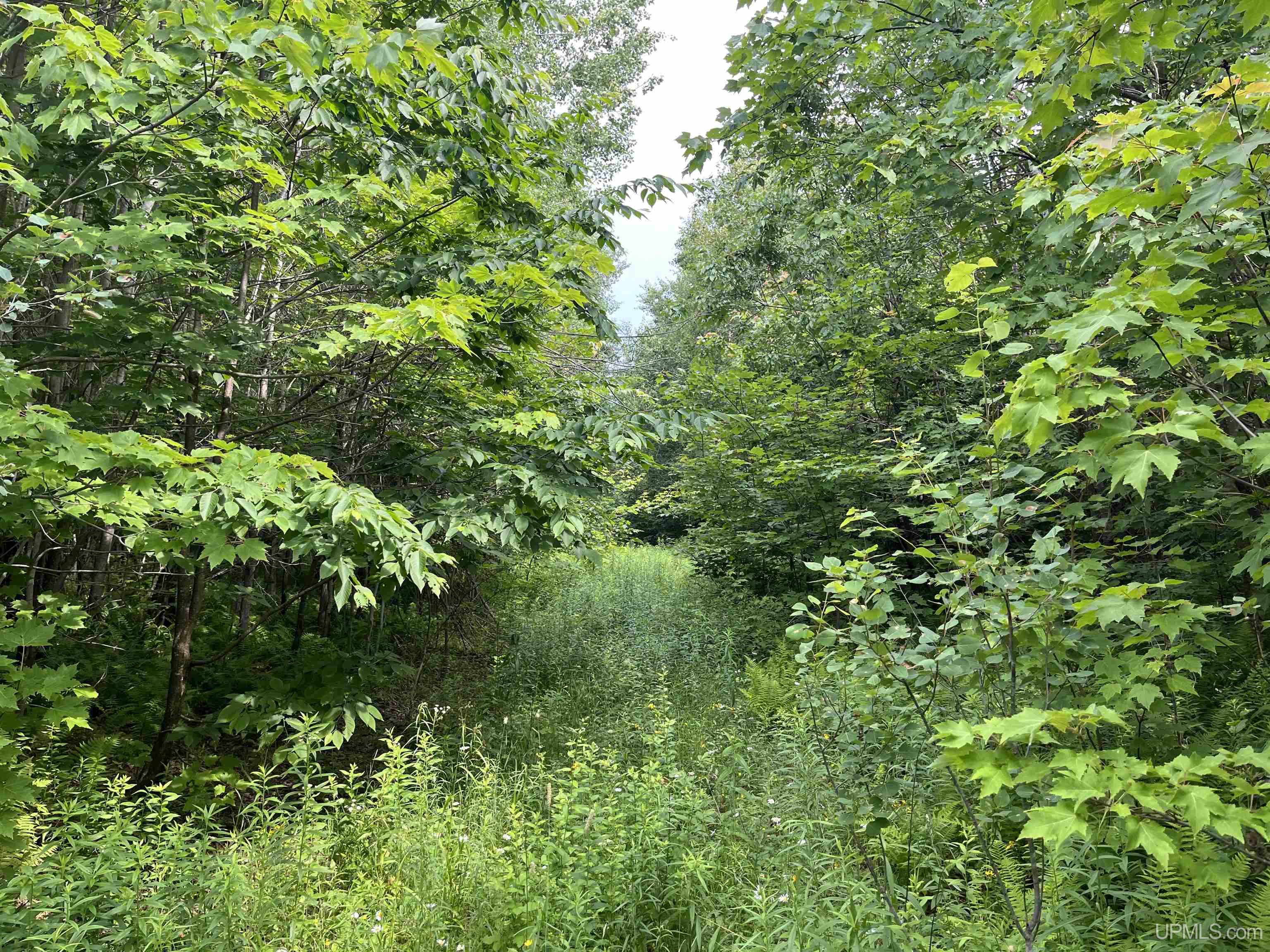 80 Acres Atherton Road Property Photo 1