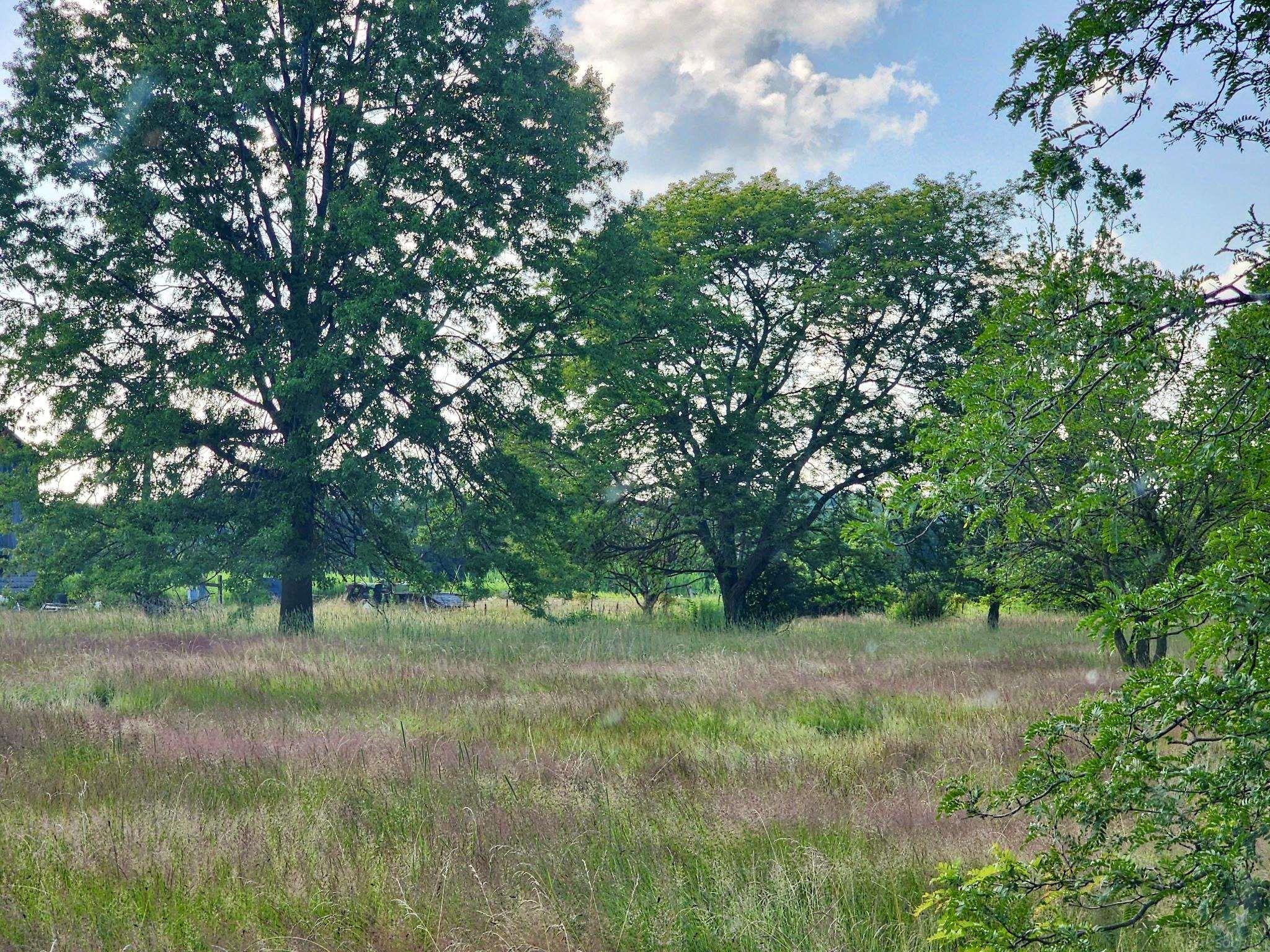Vacant Springborn Road Property Photo 2