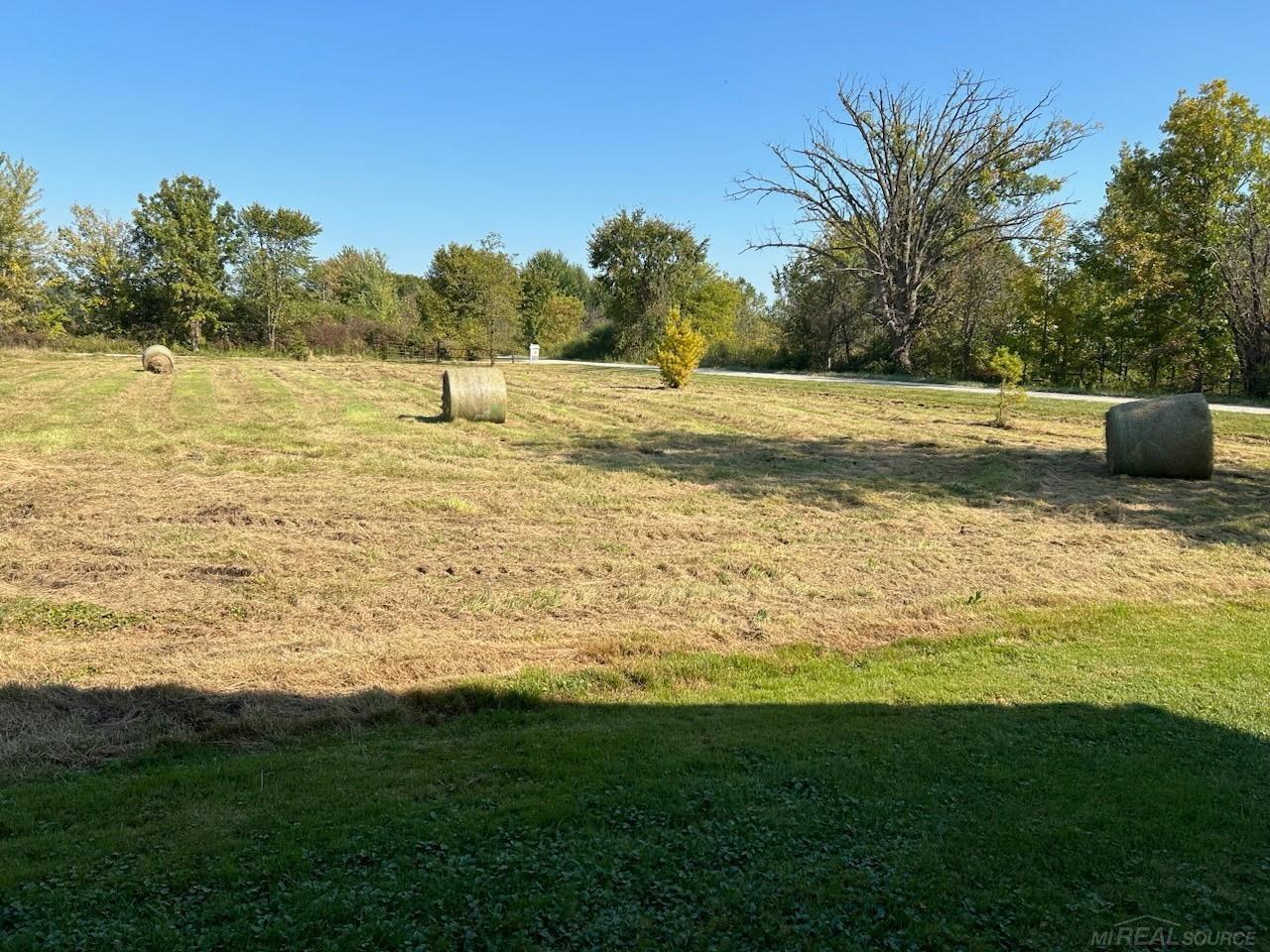 Vacant Springborn Road Property Photo 6
