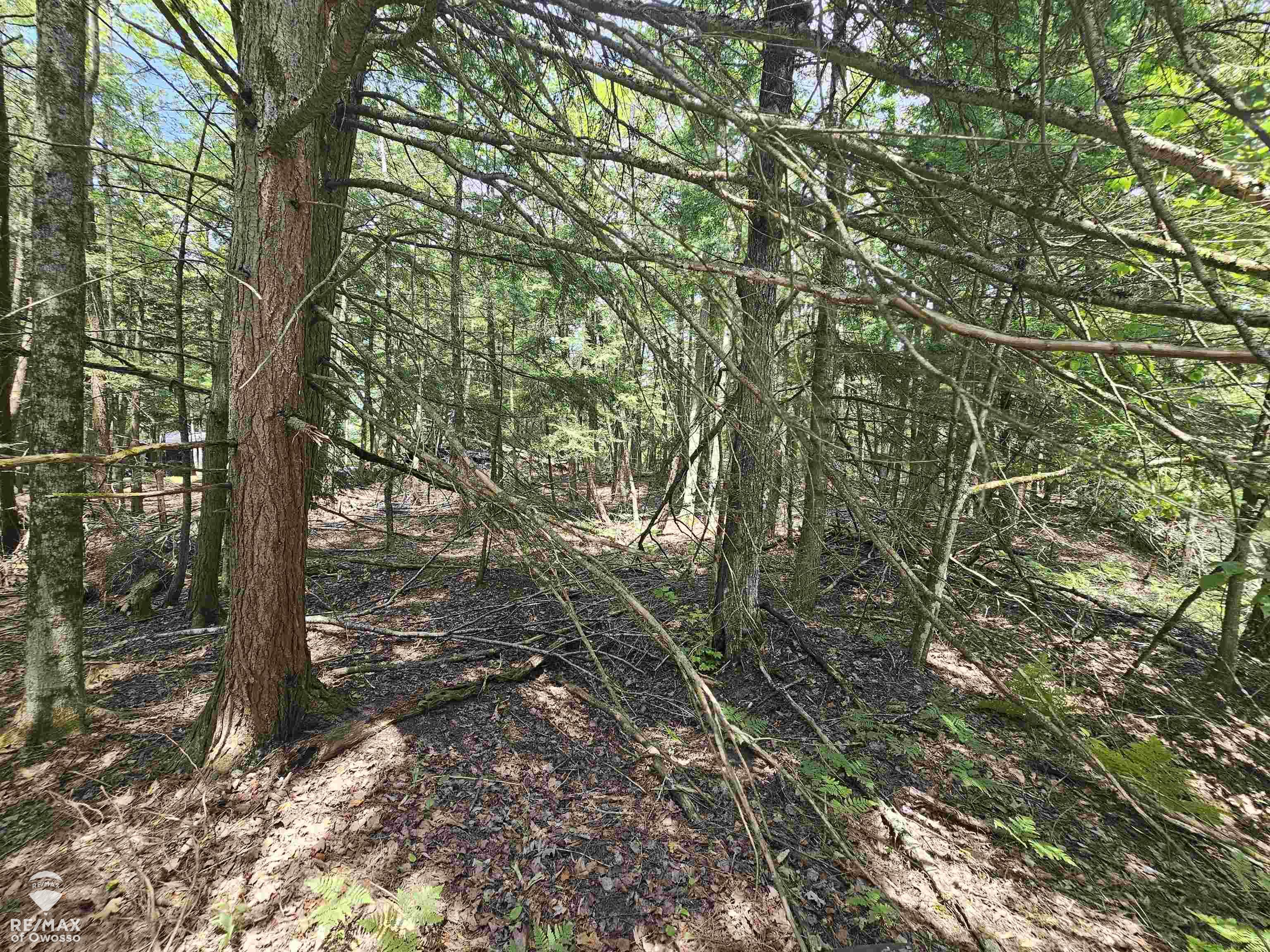 Spile Dam Road Property Photo 4
