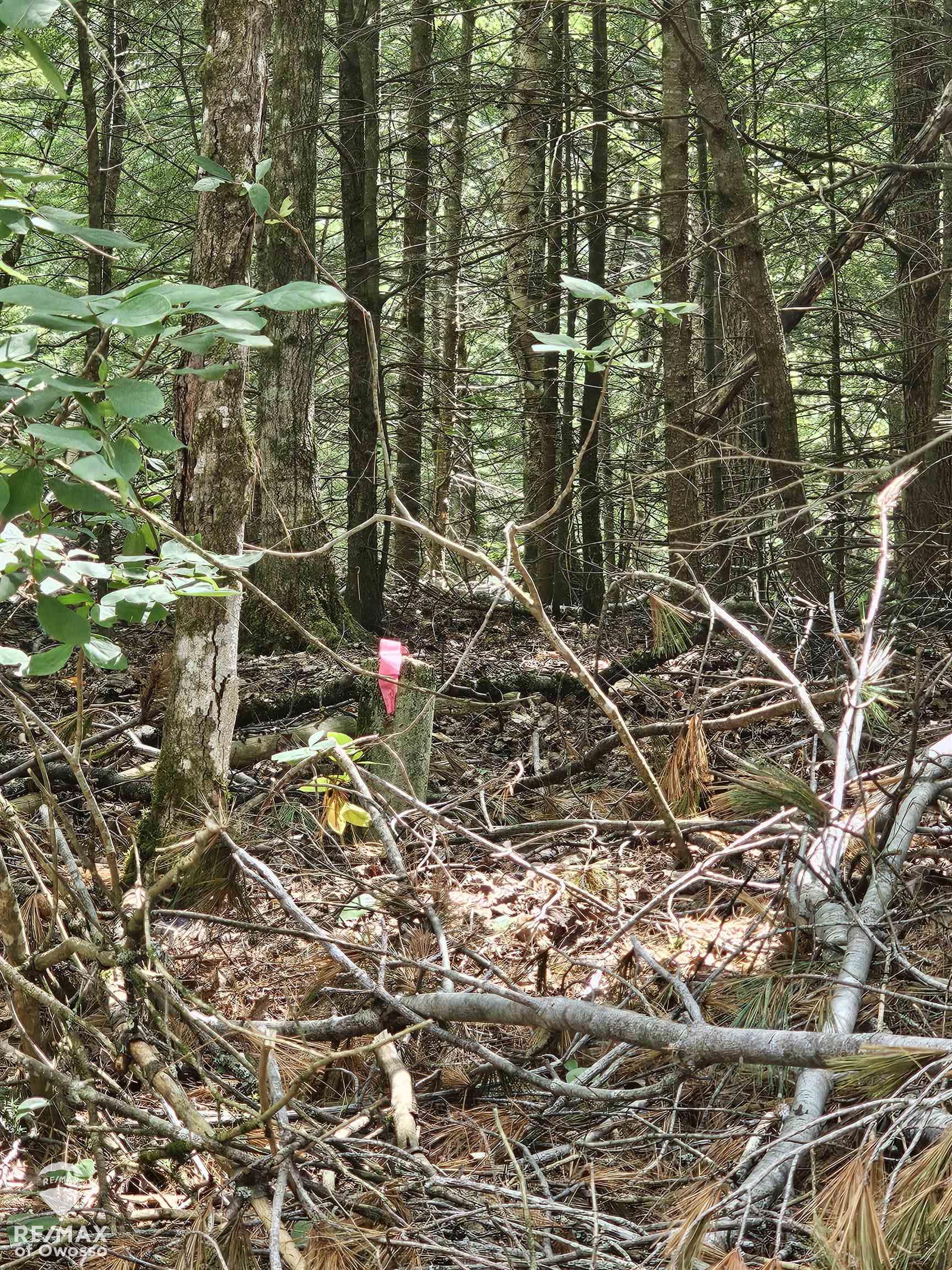Spile Dam Road Property Photo 5