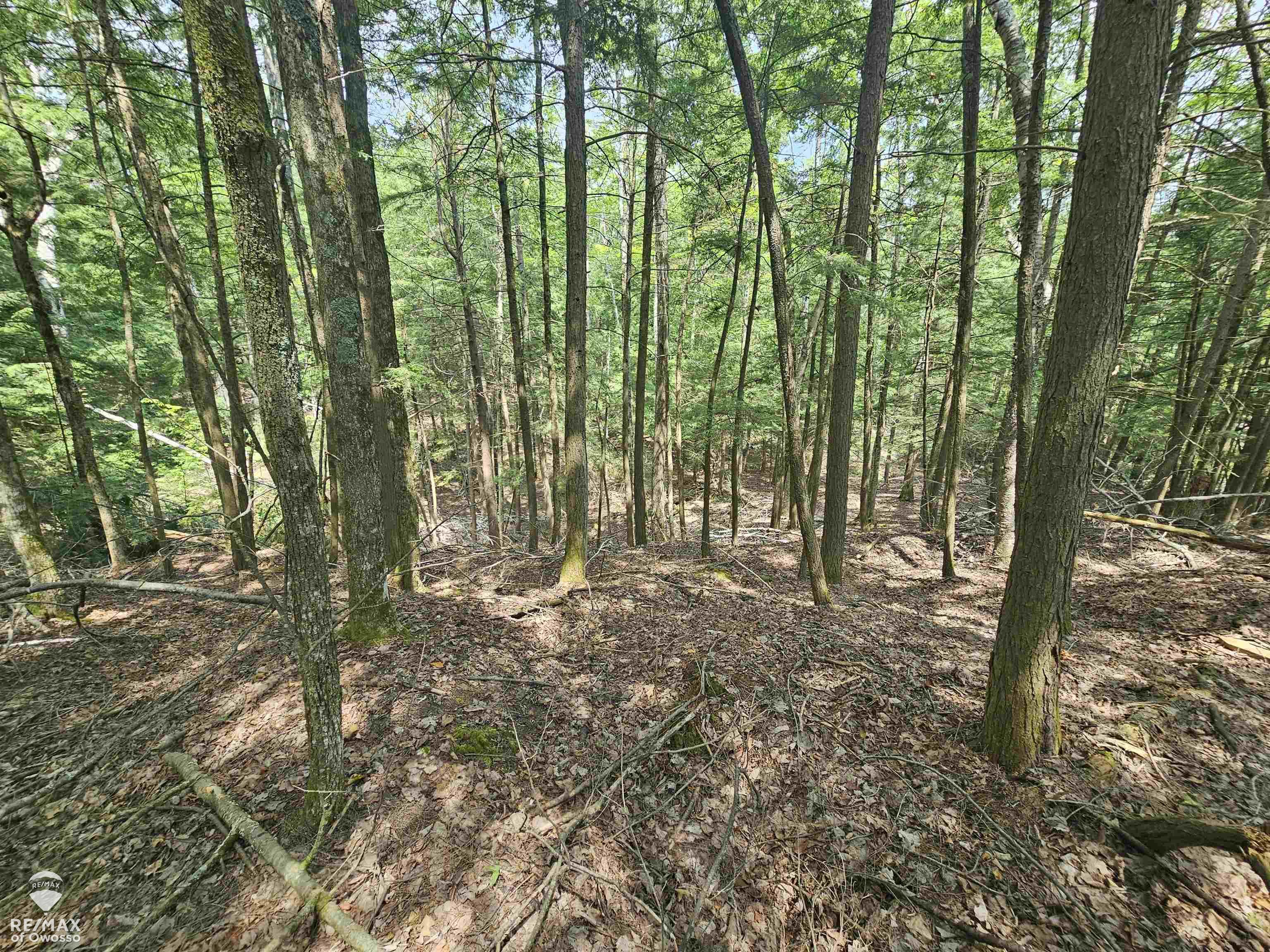Spile Dam Road Property Photo 6