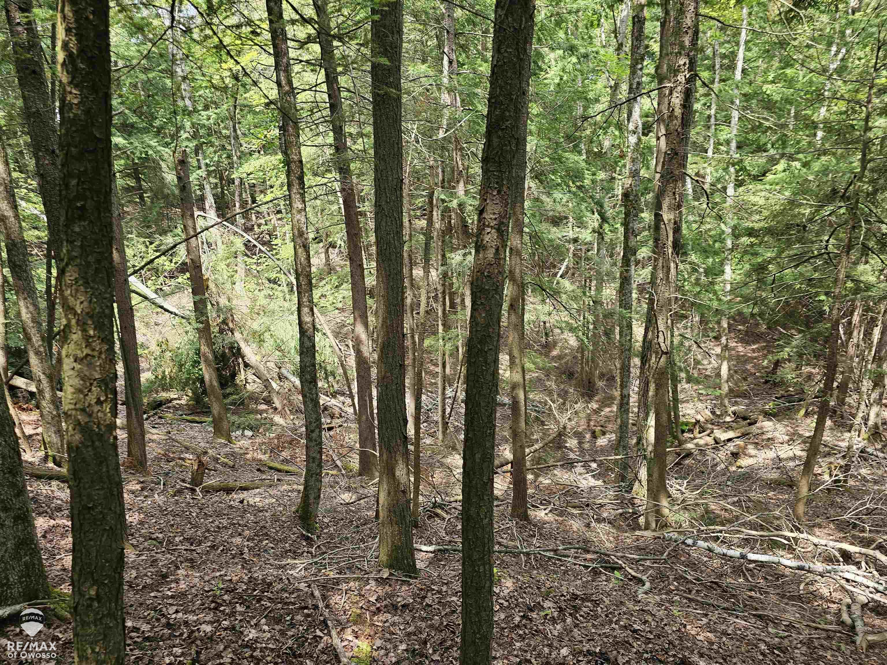 Spile Dam Road Property Photo 7