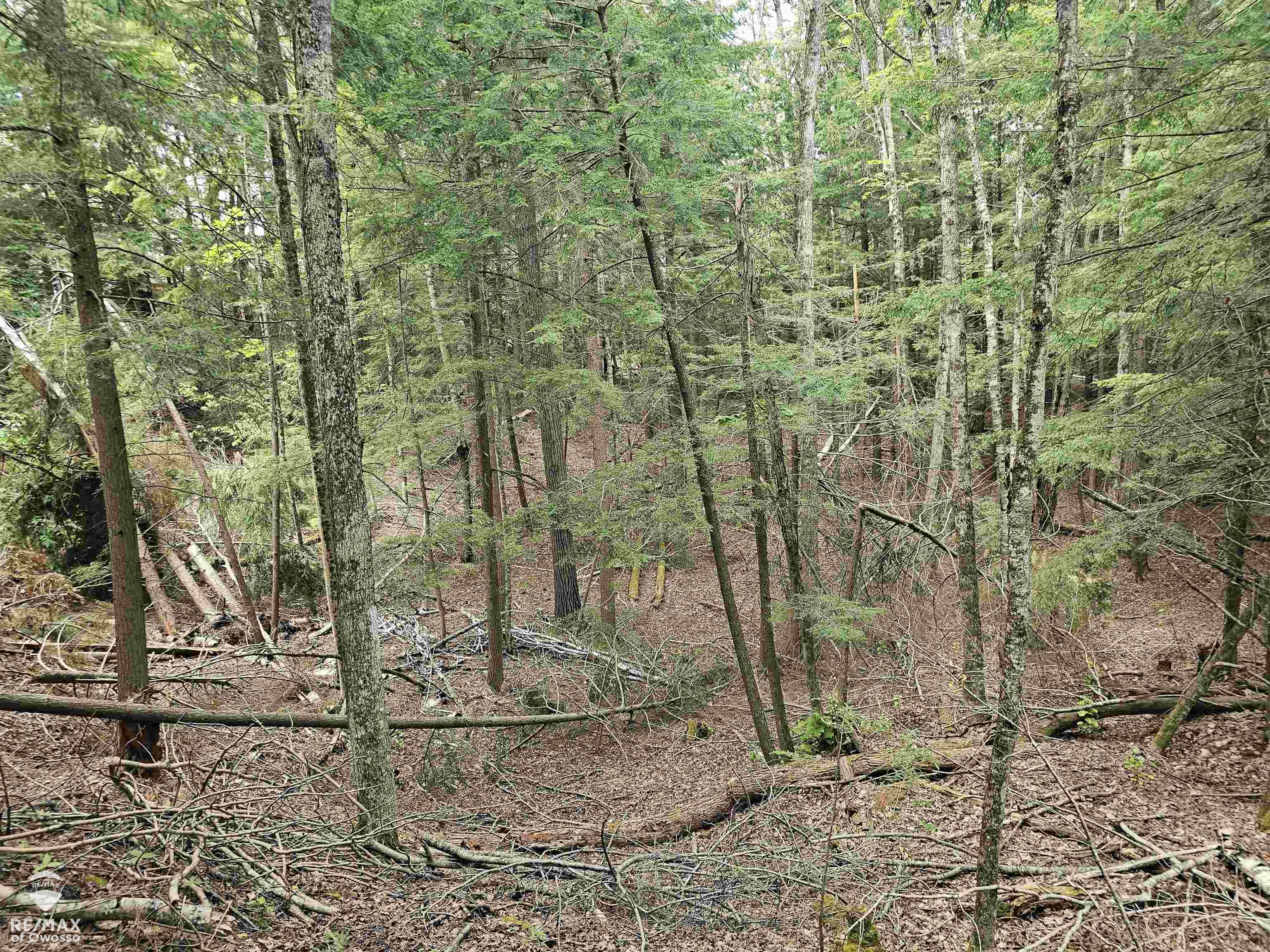 Spile Dam Road Property Photo 8