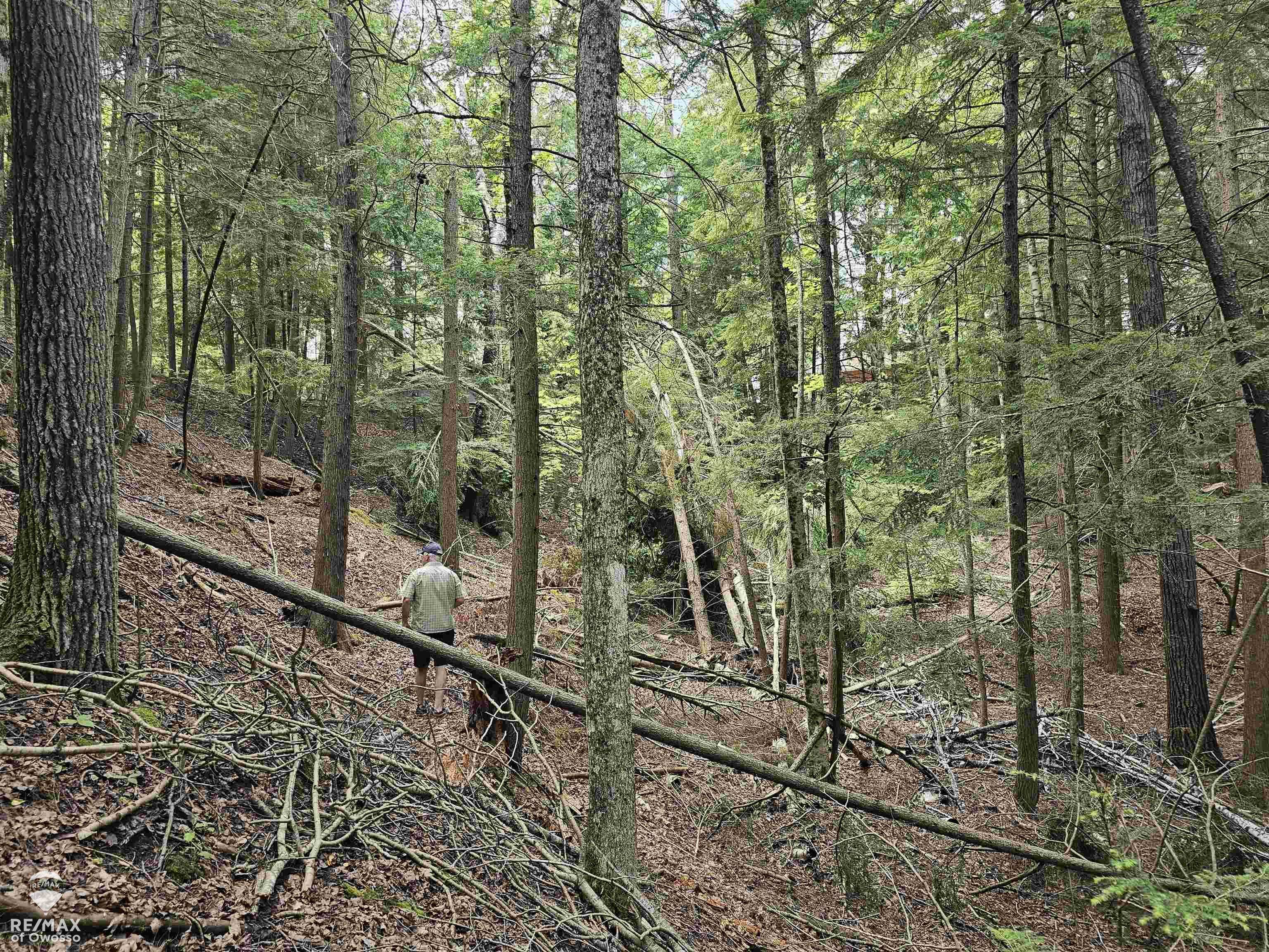 Spile Dam Road Property Photo 9