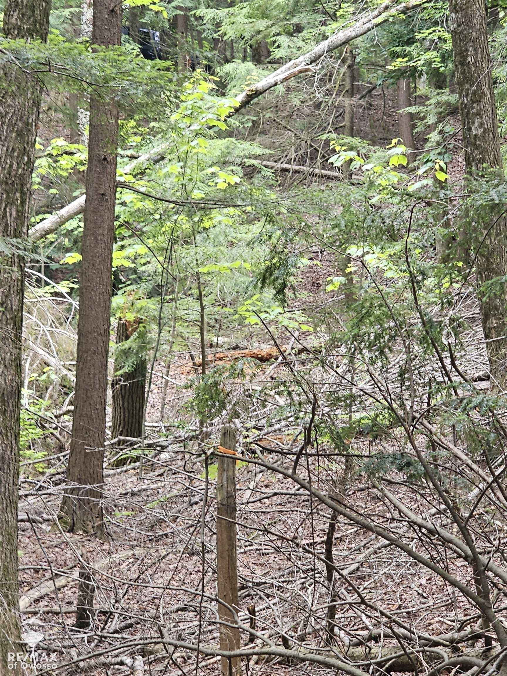 Spile Dam Road Property Photo 10