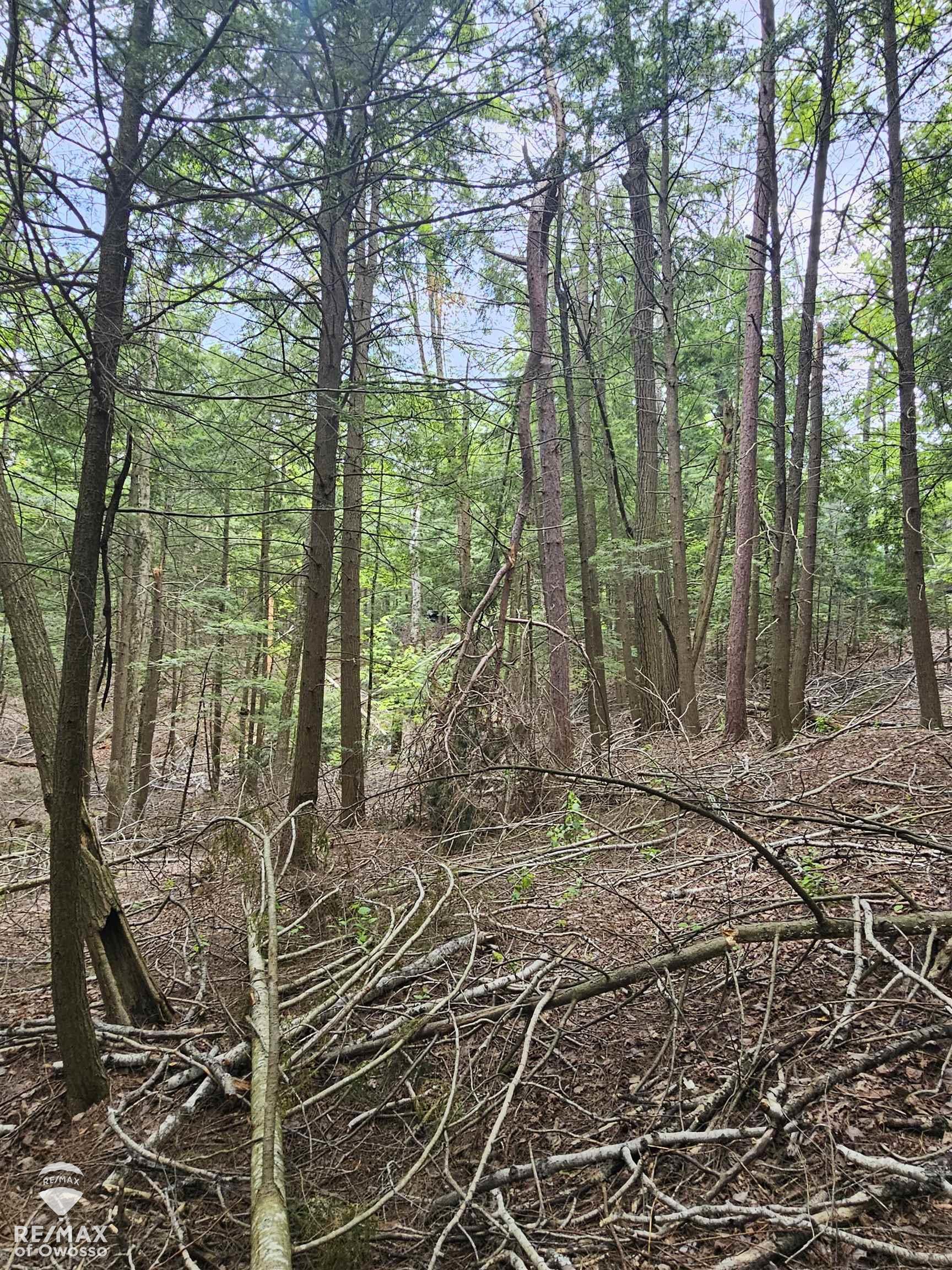 Spile Dam Road Property Photo 11
