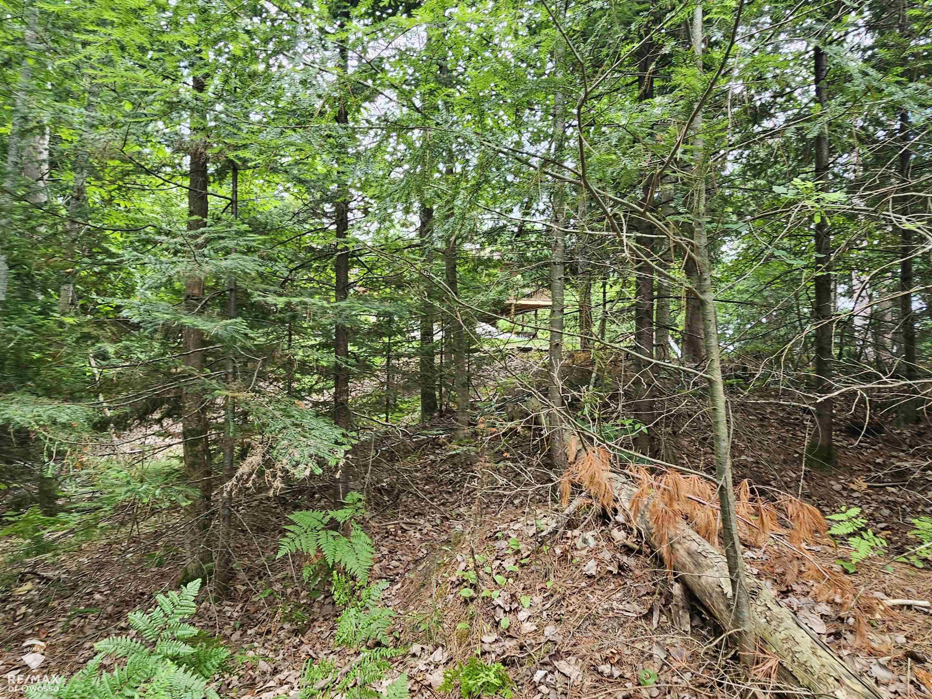Spile Dam Road Property Photo 12