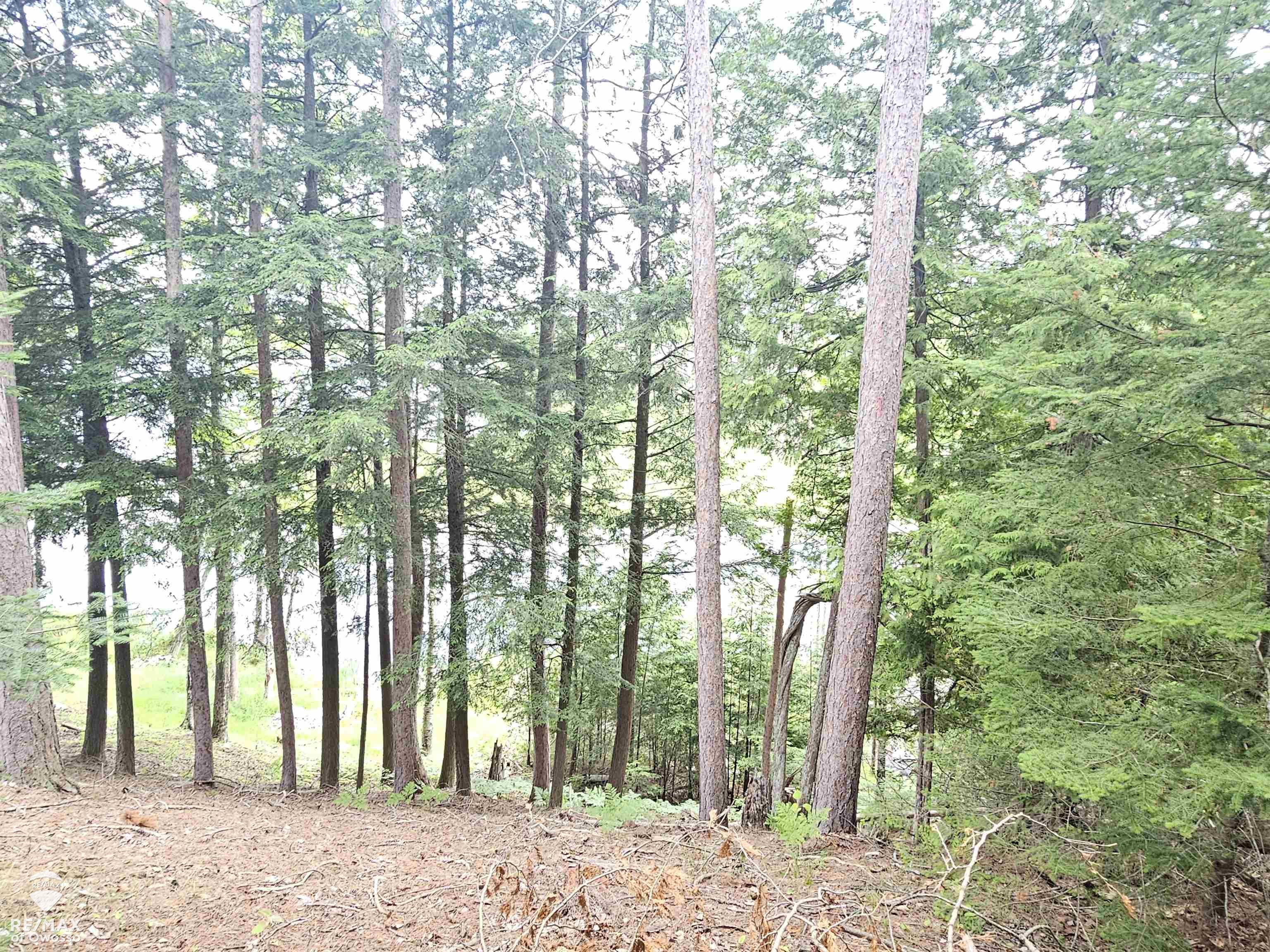 Spile Dam Road Property Photo 13