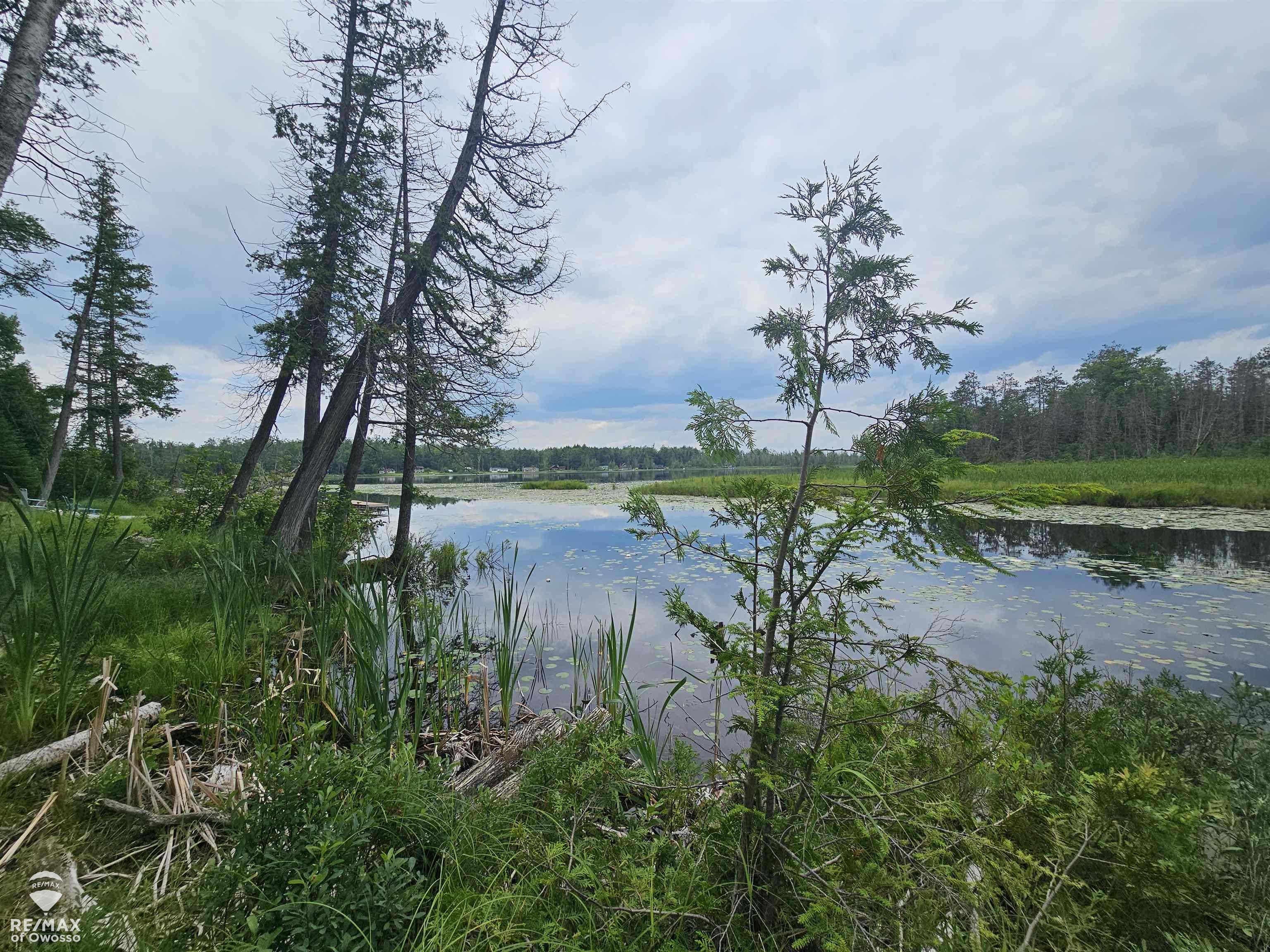 Spile Dam Road Property Photo 15