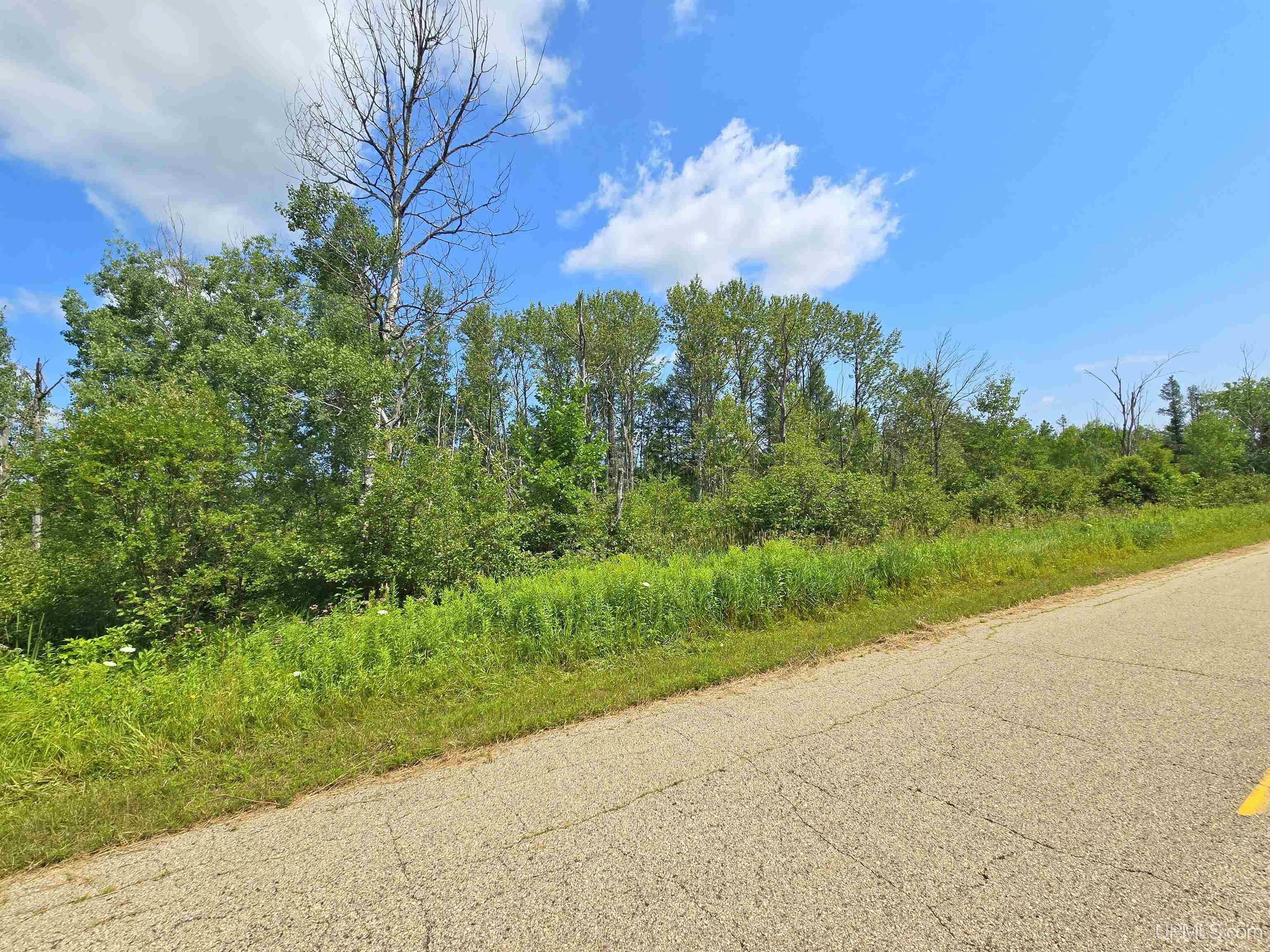 Tbd Bauer Road Property Photo 1