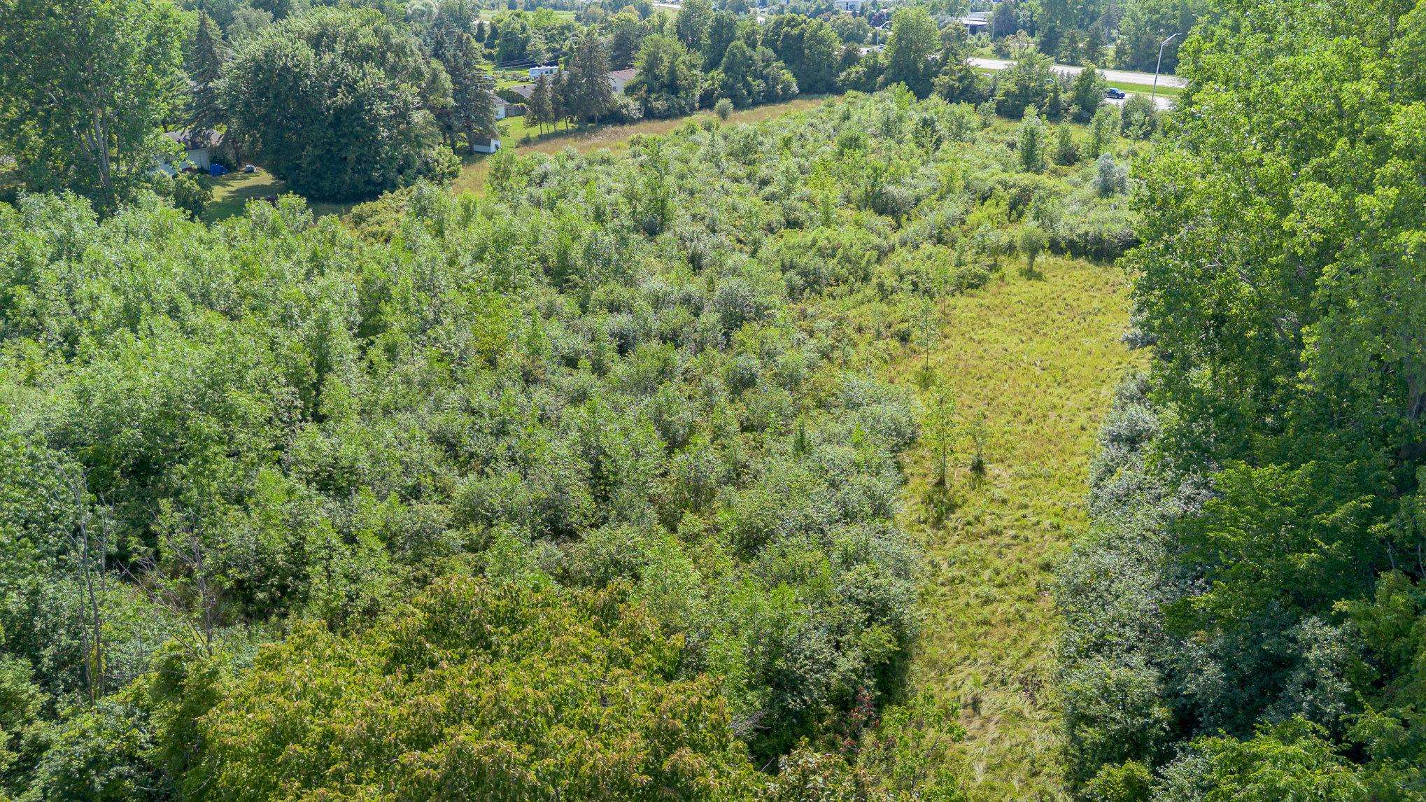 Kenora Drive Property Photo 11