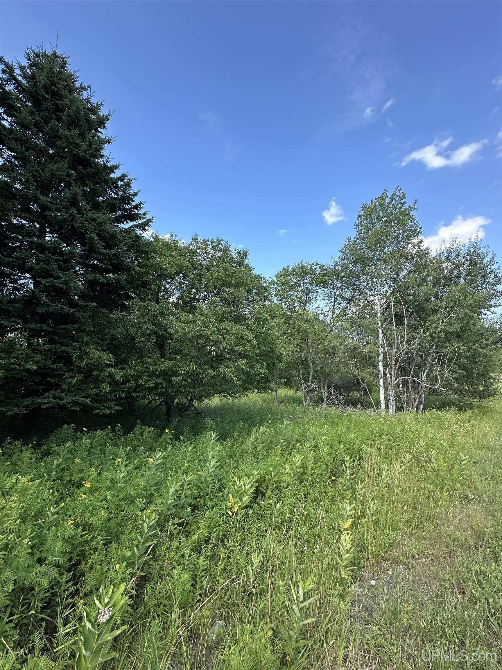 Tbd Blossom Street Property Photo 1