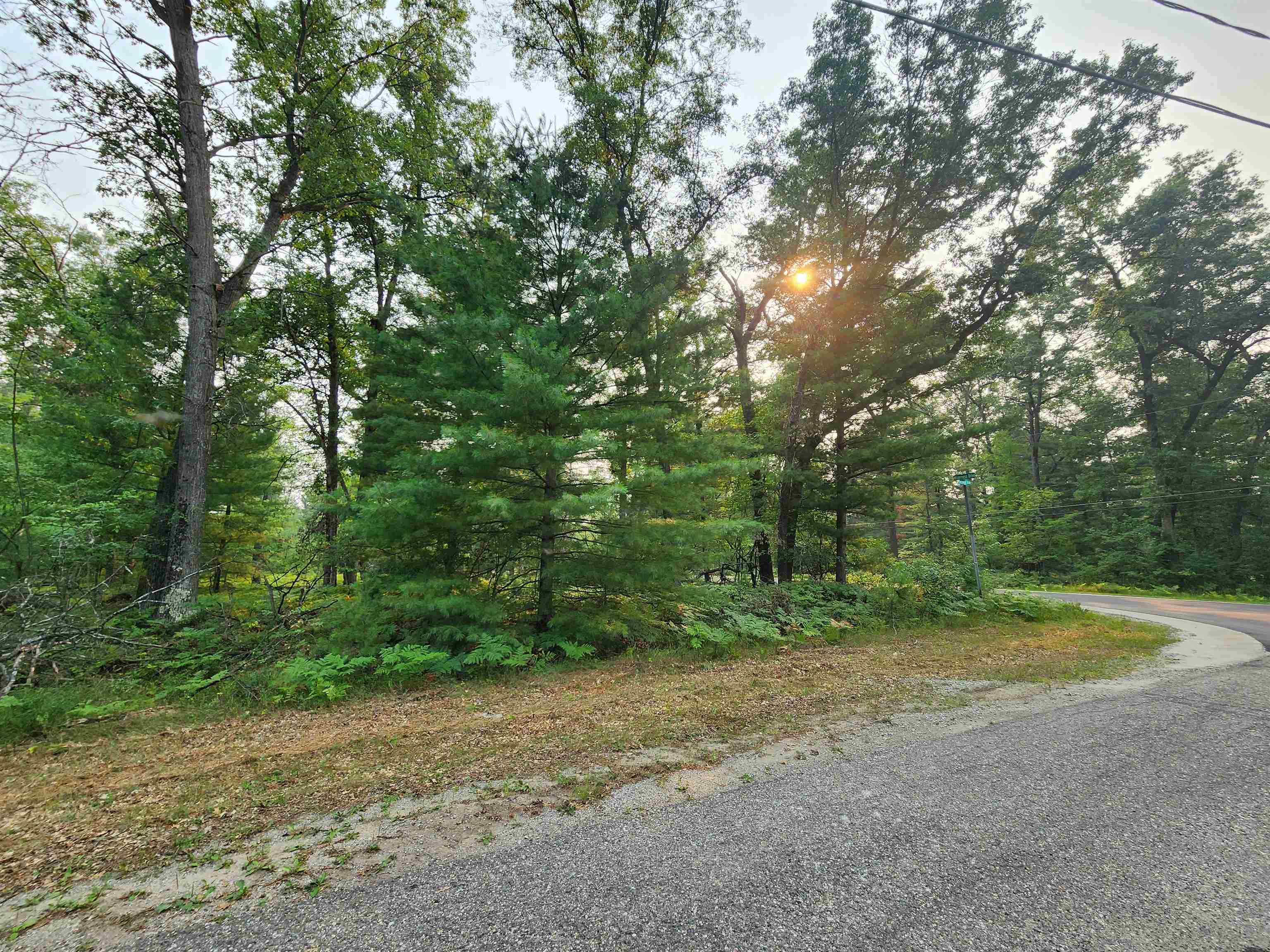 Lot 98 Wilderness Drive