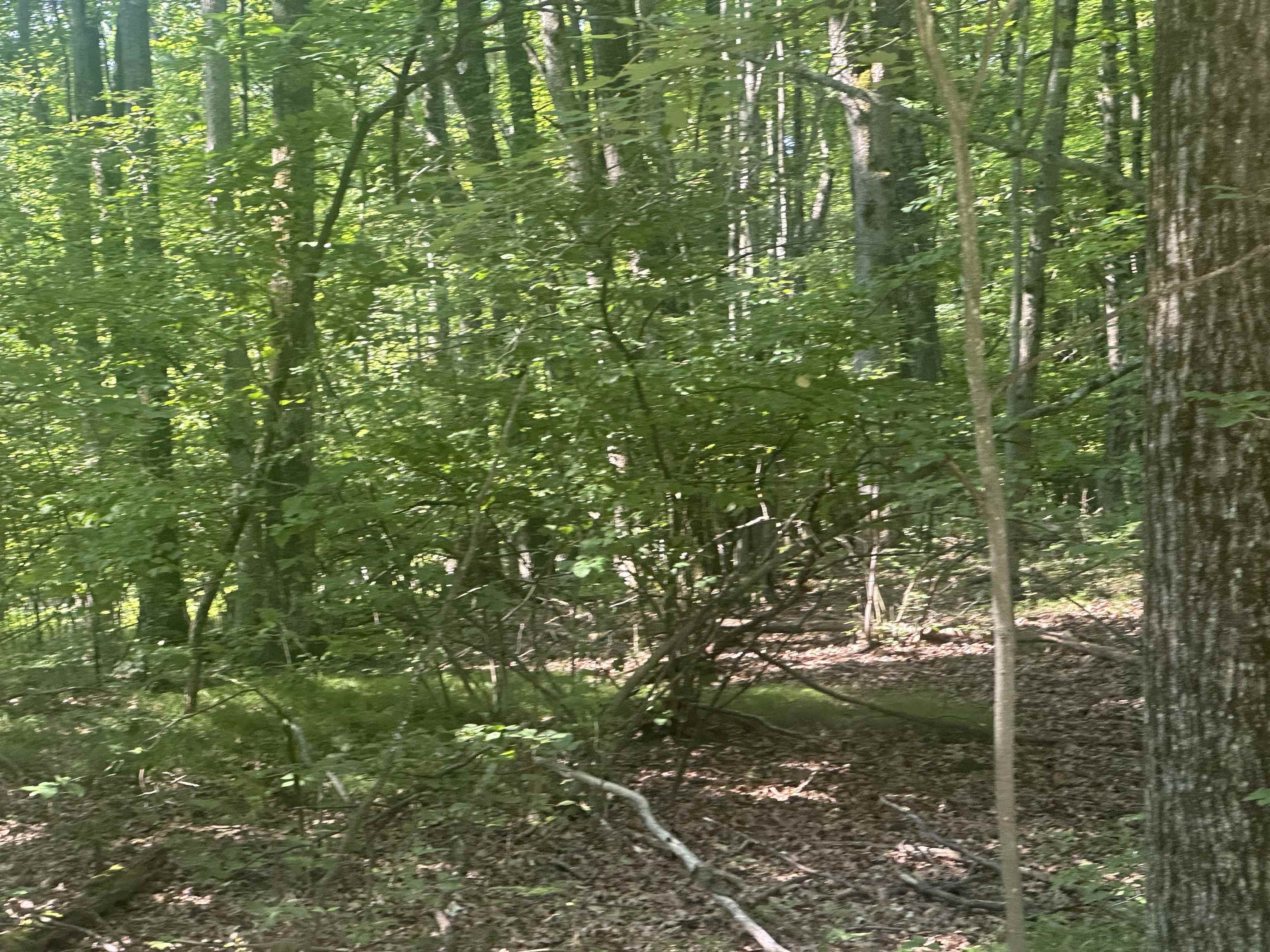Lot#179 Mockingbird Circle Road Property Photo 1