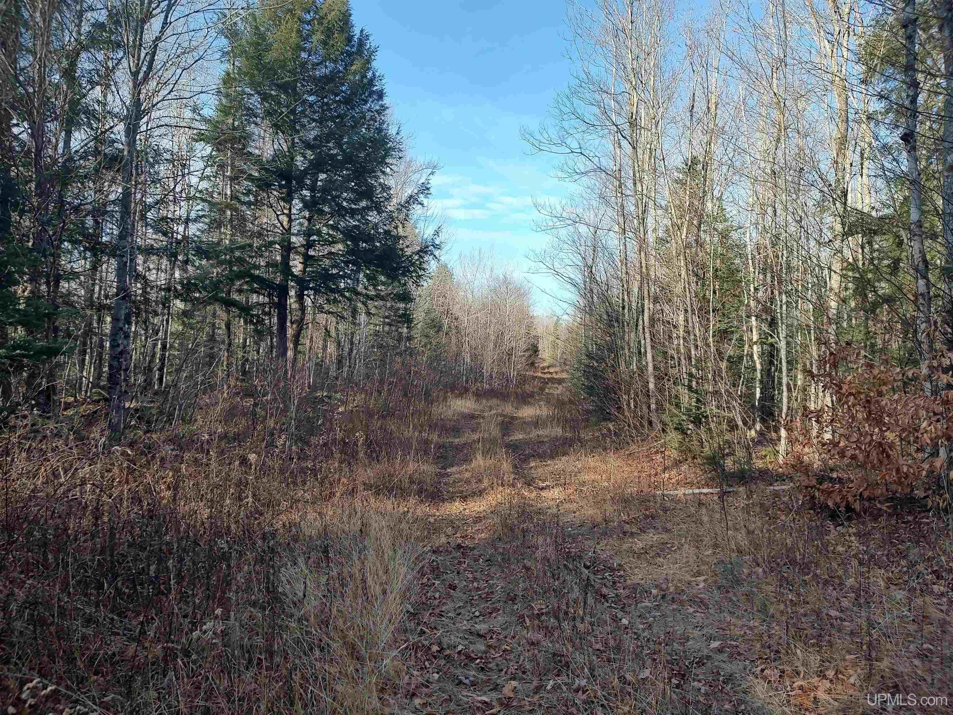 Tbd Billie Helmer Road Property Photo 1