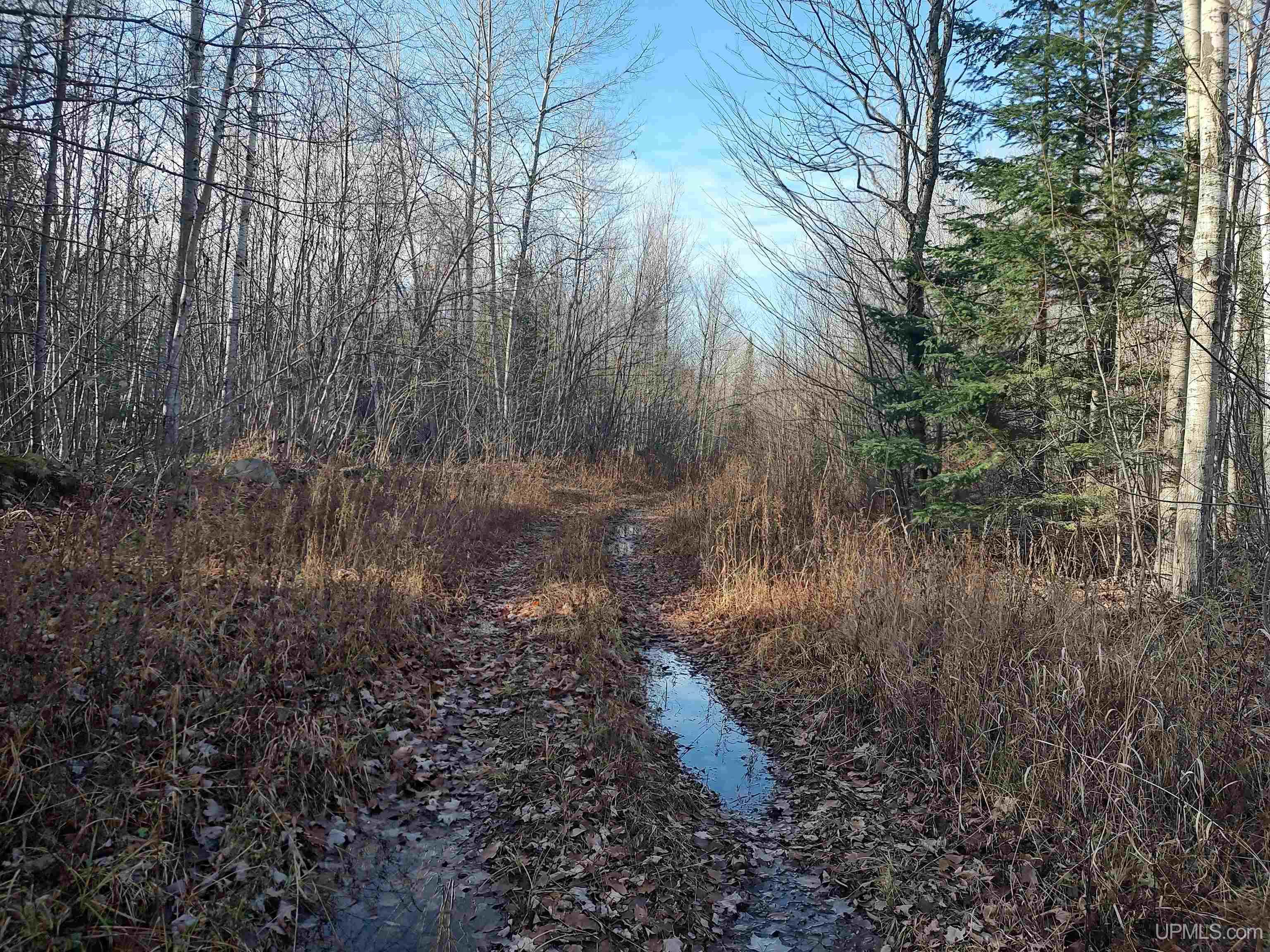 Tbd Billie Helmer Road Property Photo 2